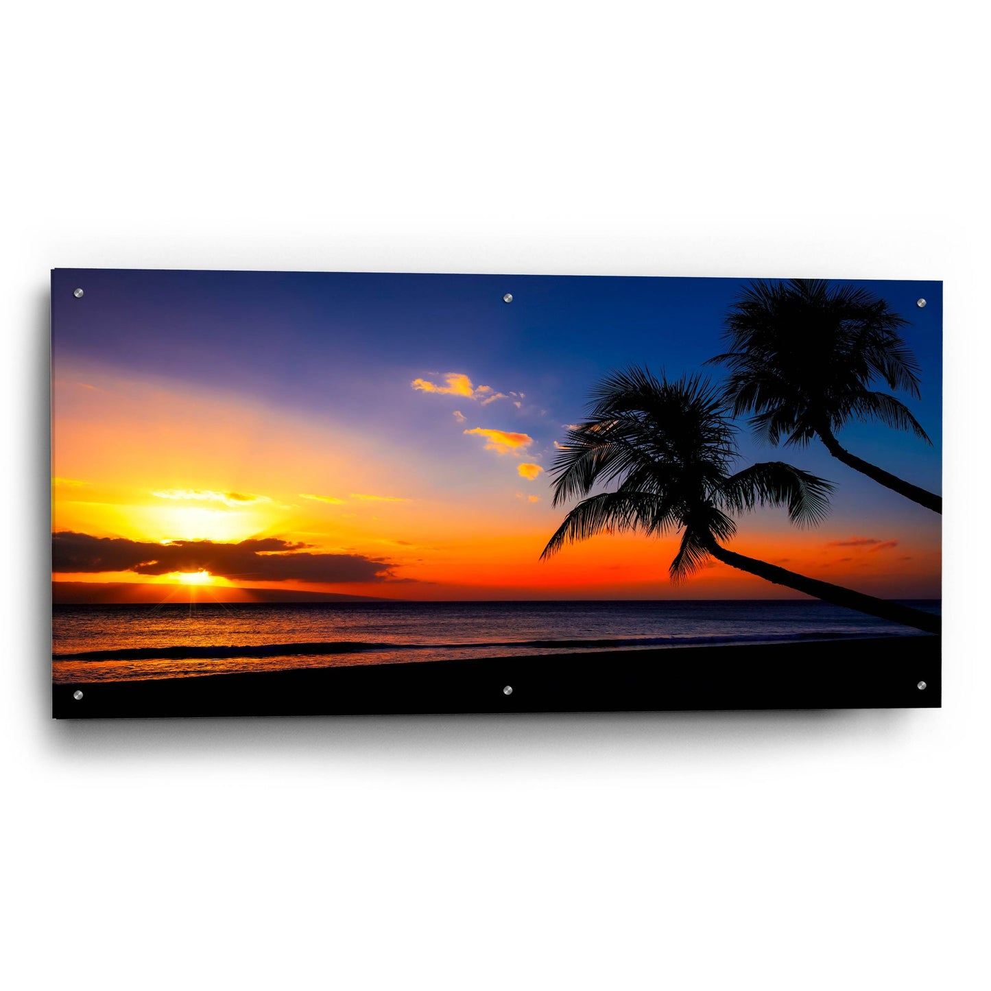 Epic Art 'Palm Trees Sunset' by Jonathan Ross, Acrylic Glass Wall Art,48x24