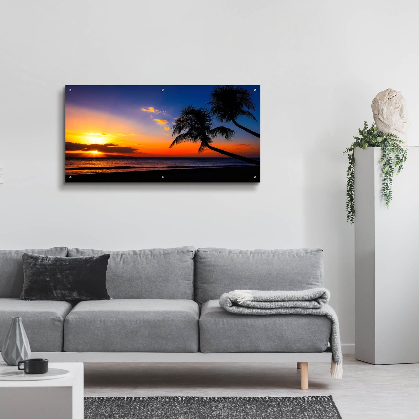 Epic Art 'Palm Trees Sunset' by Jonathan Ross, Acrylic Glass Wall Art,48x24