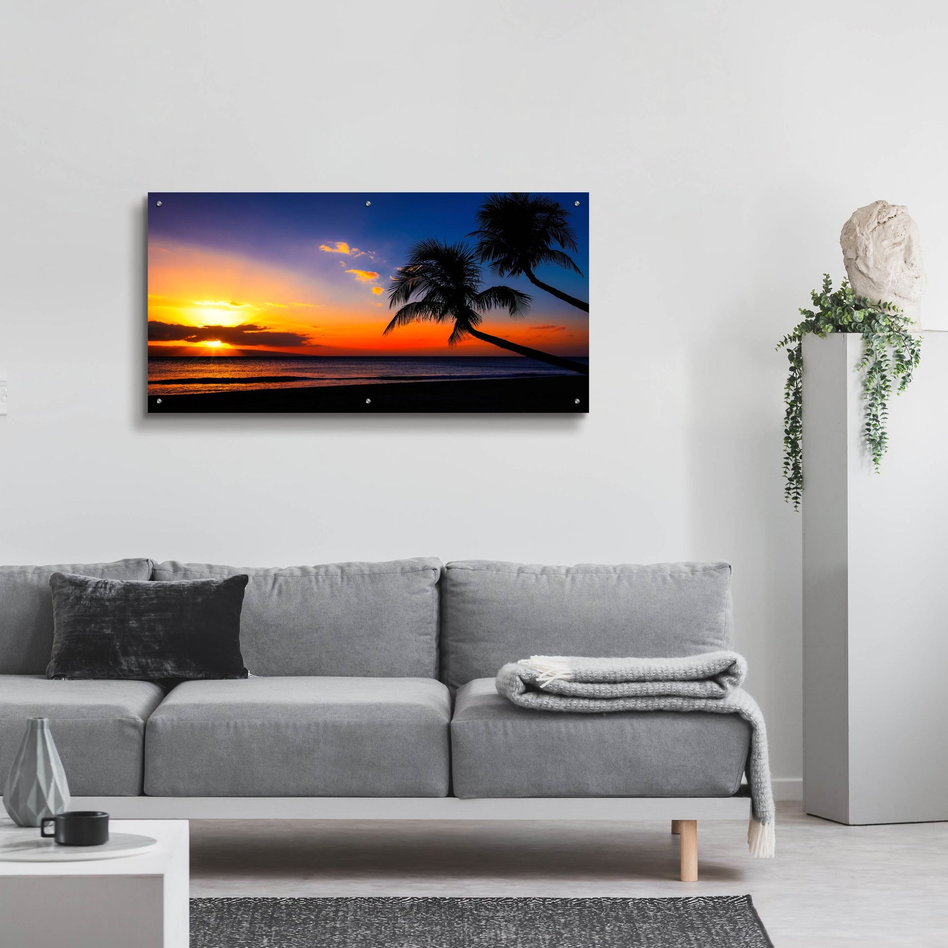 Epic Art 'Palm Trees Sunset' by Jonathan Ross, Acrylic Glass Wall Art,48x24