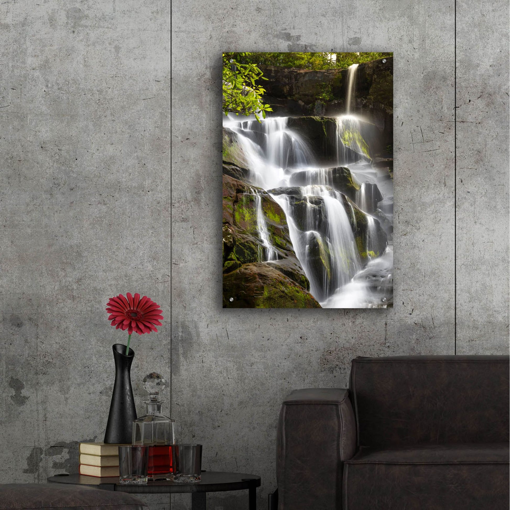 Epic Art 'Smoky Mountains Waterfall' by Jonathan Ross, Acrylic Glass Wall Art,24x36