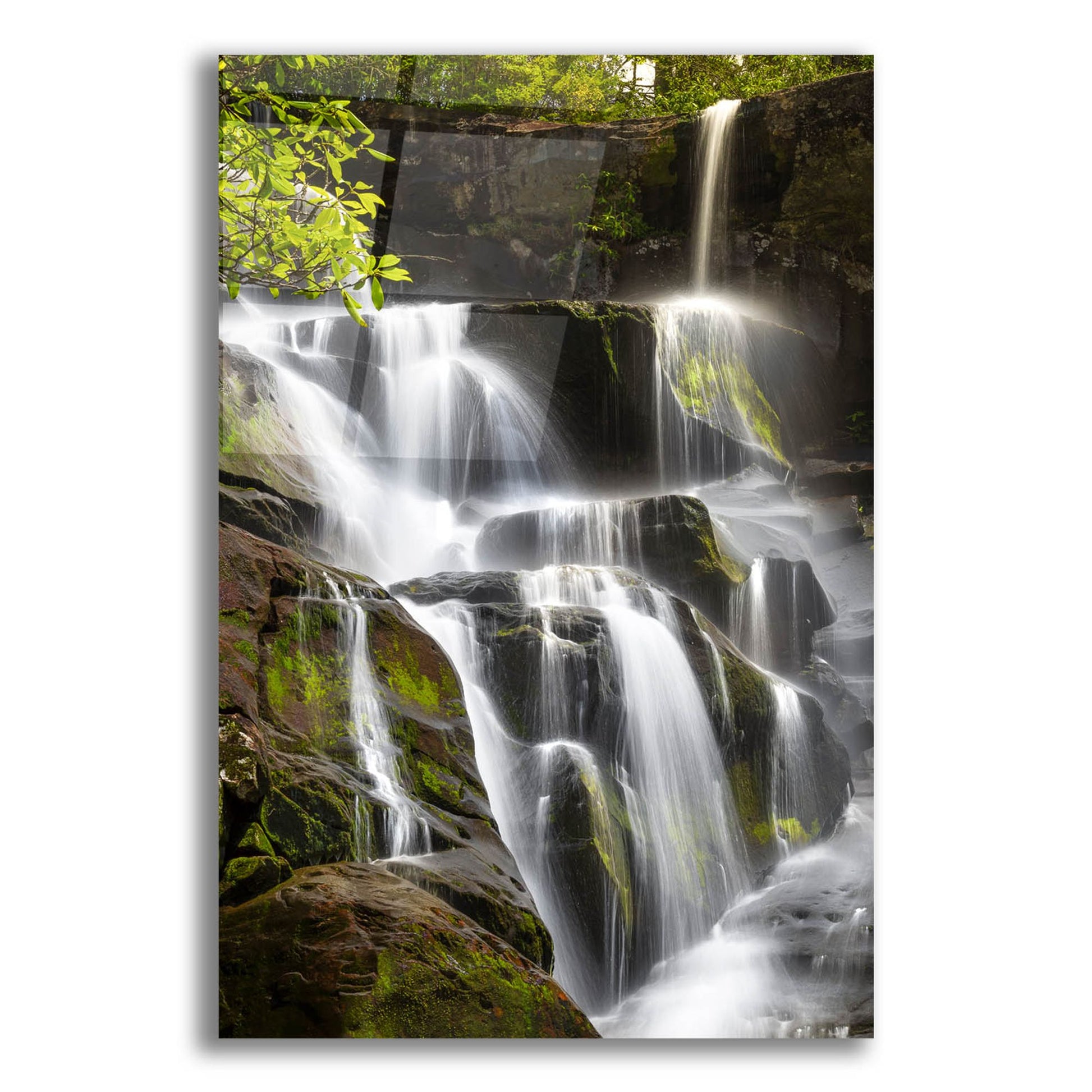 Epic Art 'Smoky Mountains Waterfall' by Jonathan Ross, Acrylic Glass Wall Art