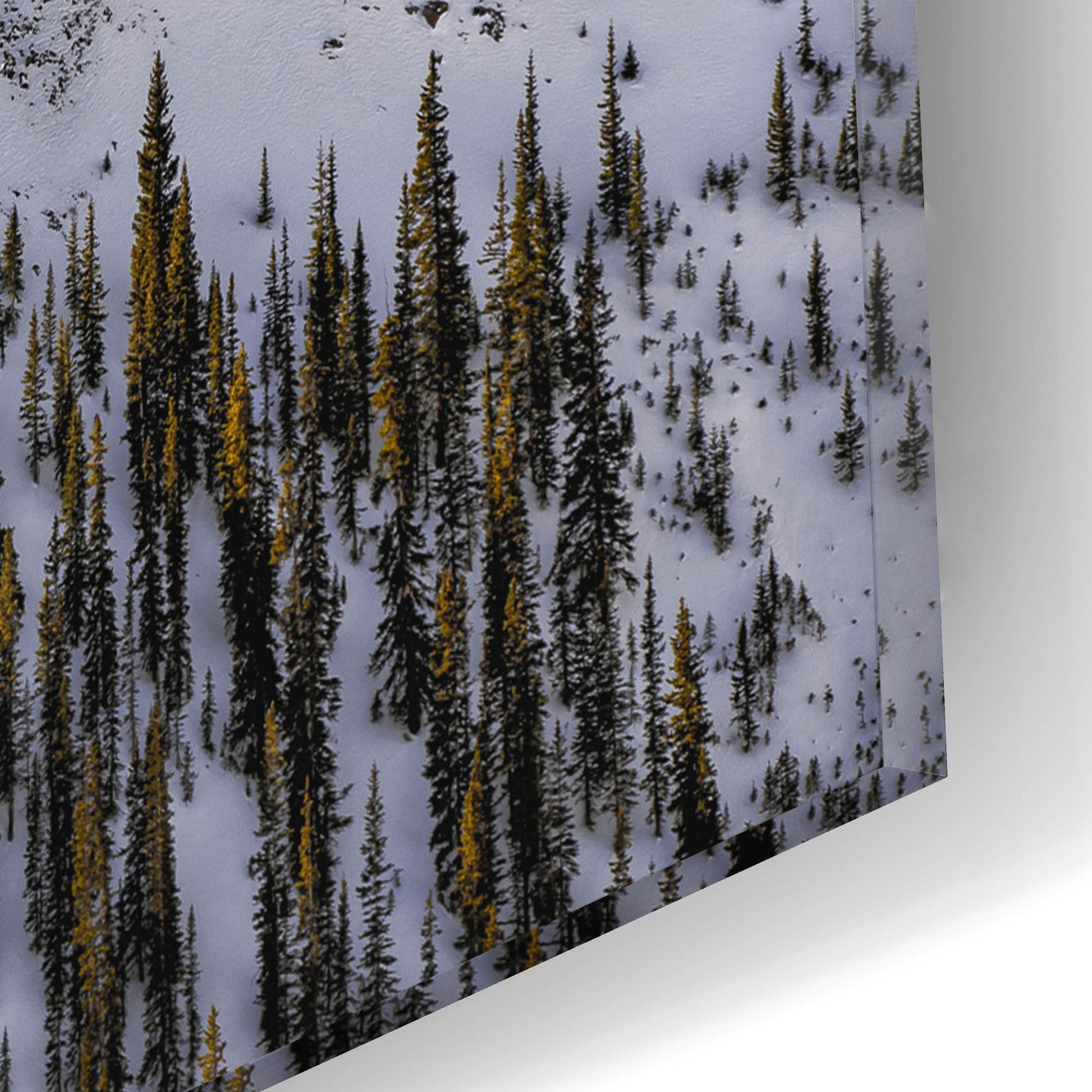 Epic Art 'Snow Covered Maroon Bells' by Jonathan Ross, Acrylic Glass Wall Art,16x12