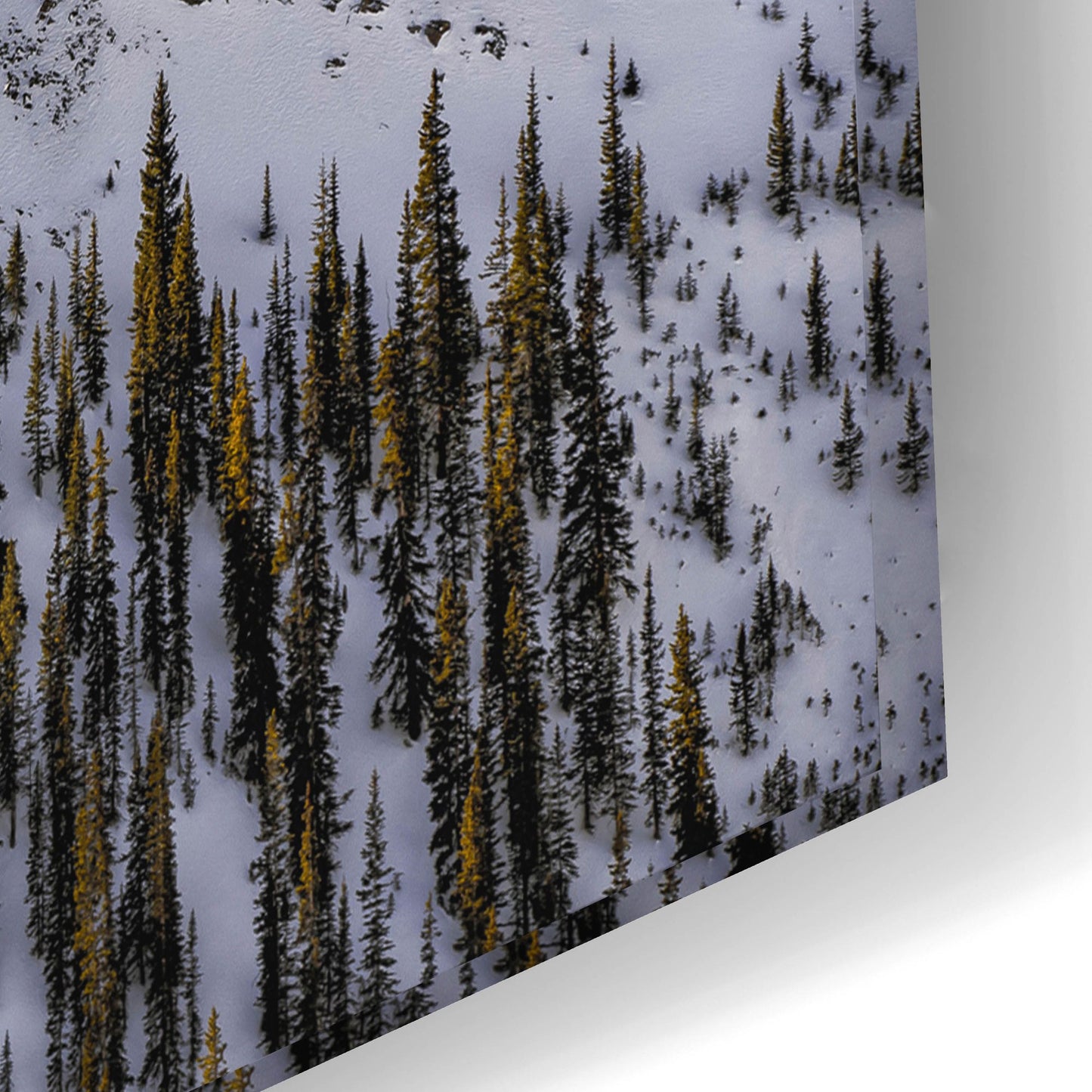 Epic Art 'Snow Covered Maroon Bells' by Jonathan Ross, Acrylic Glass Wall Art,24x16