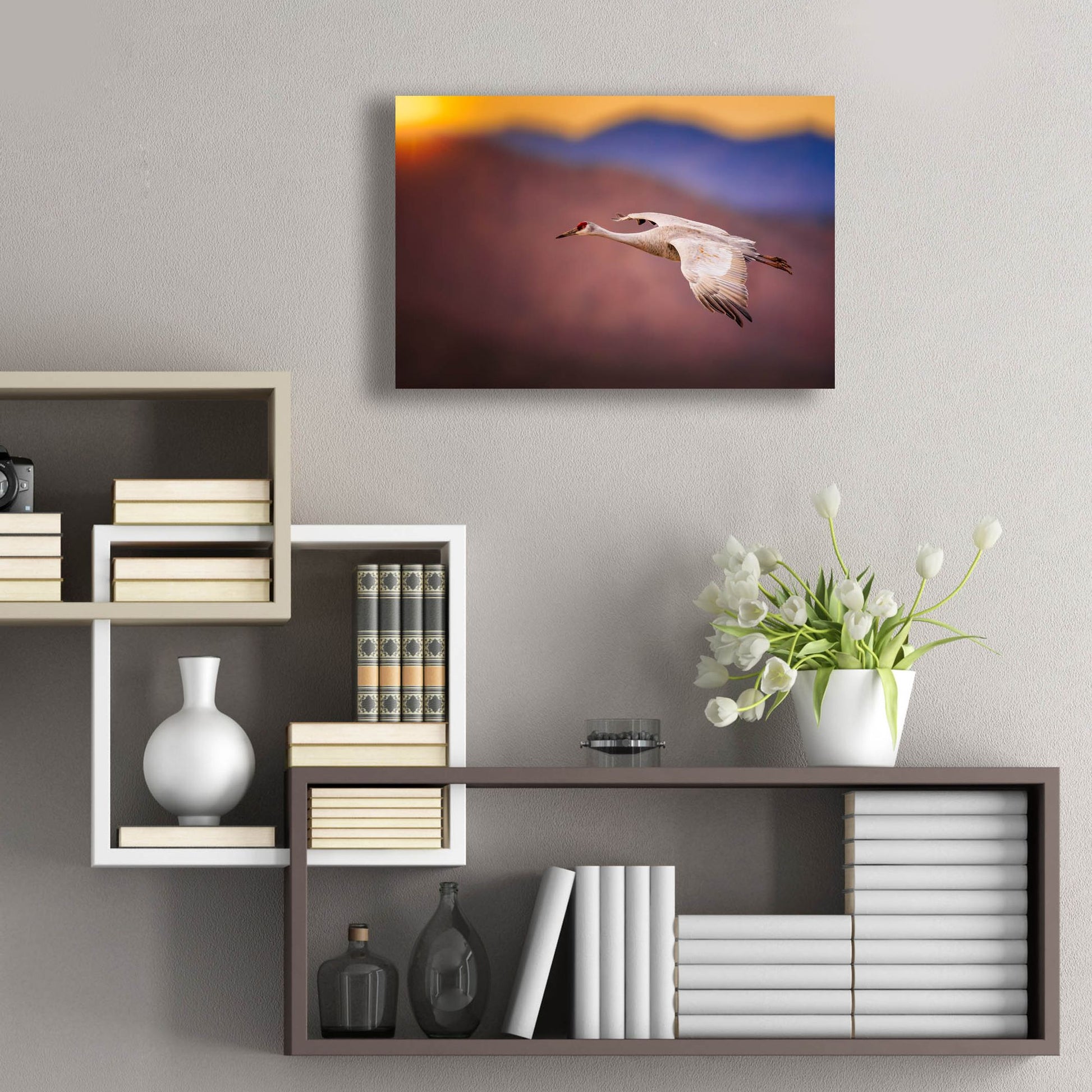 Epic Art 'Sunset Flight' by Jonathan Ross, Acrylic Glass Wall Art,24x16