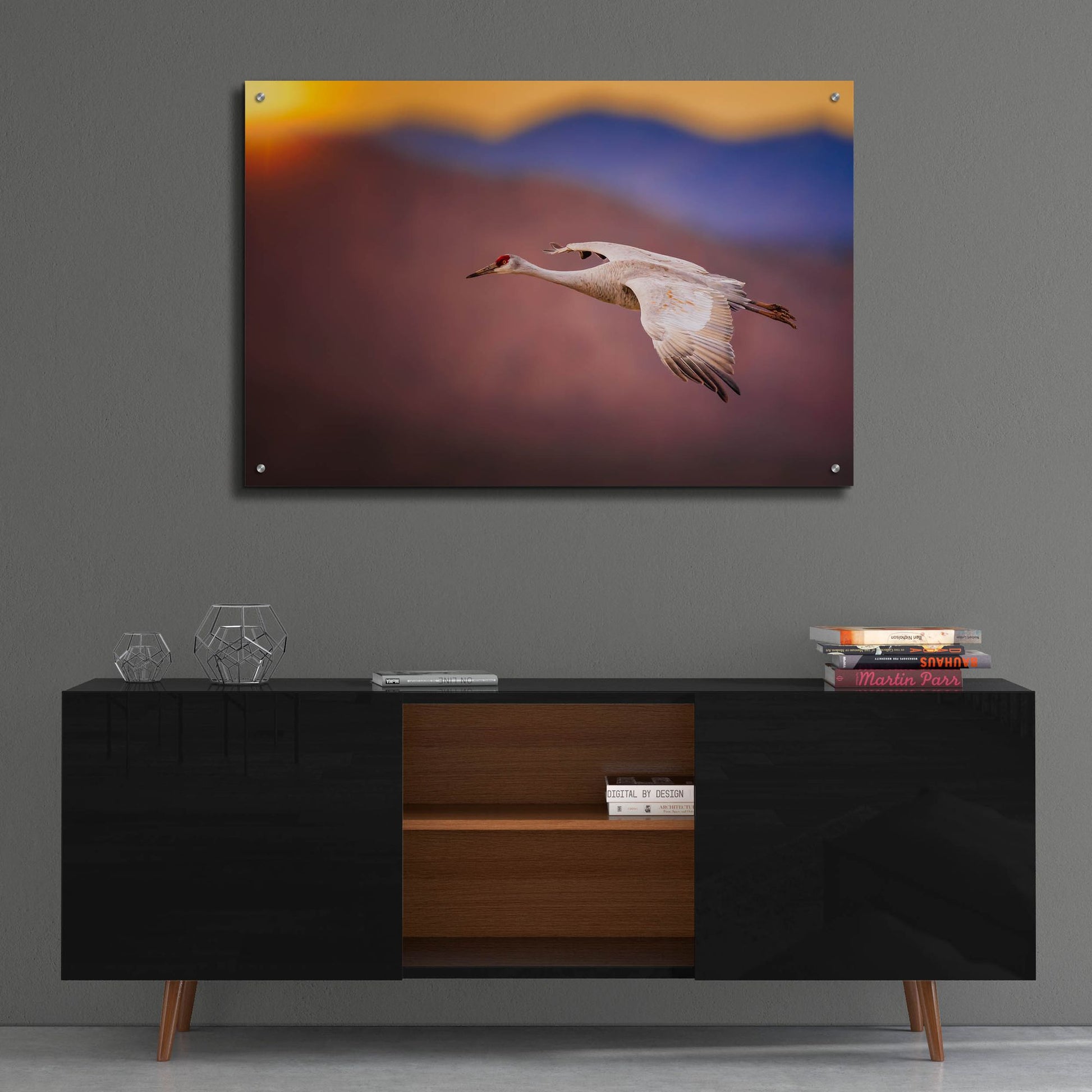 Epic Art 'Sunset Flight' by Jonathan Ross, Acrylic Glass Wall Art,36x24