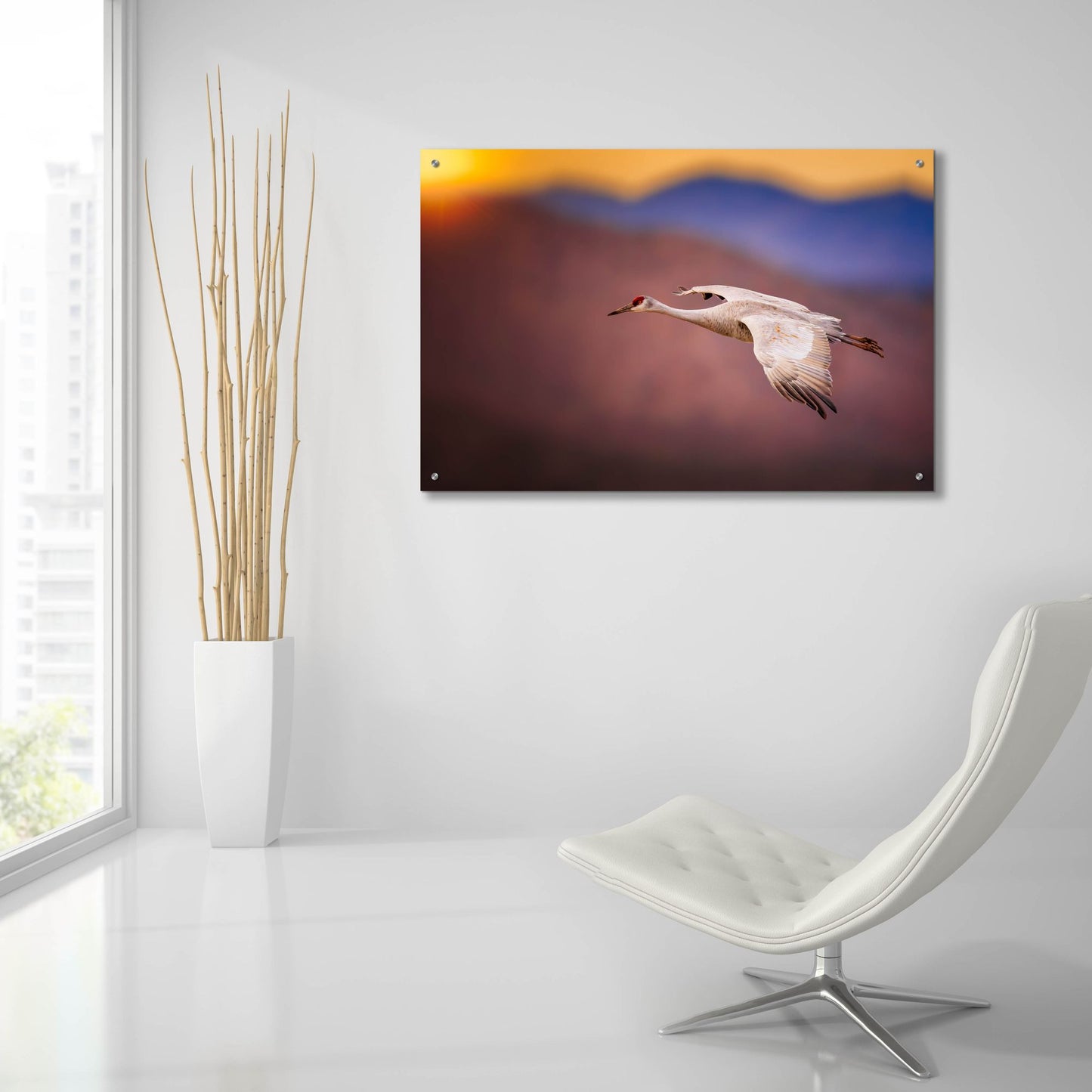 Epic Art 'Sunset Flight' by Jonathan Ross, Acrylic Glass Wall Art,36x24