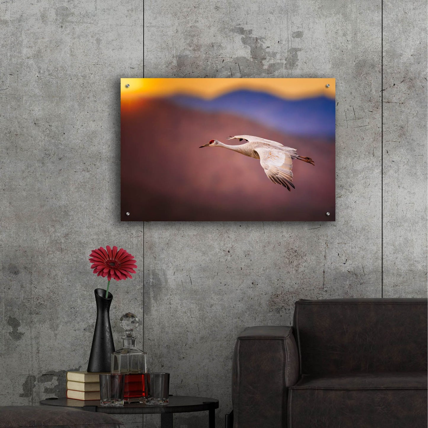 Epic Art 'Sunset Flight' by Jonathan Ross, Acrylic Glass Wall Art,36x24