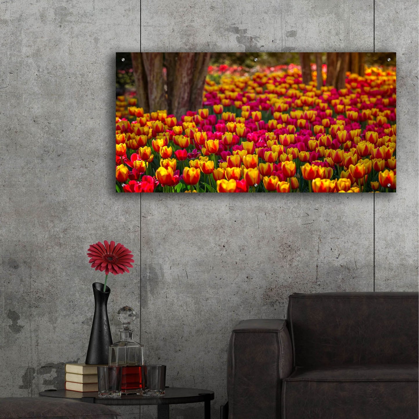 Epic Art 'Tulip Sea' by Jonathan Ross, Acrylic Glass Wall Art,48x24