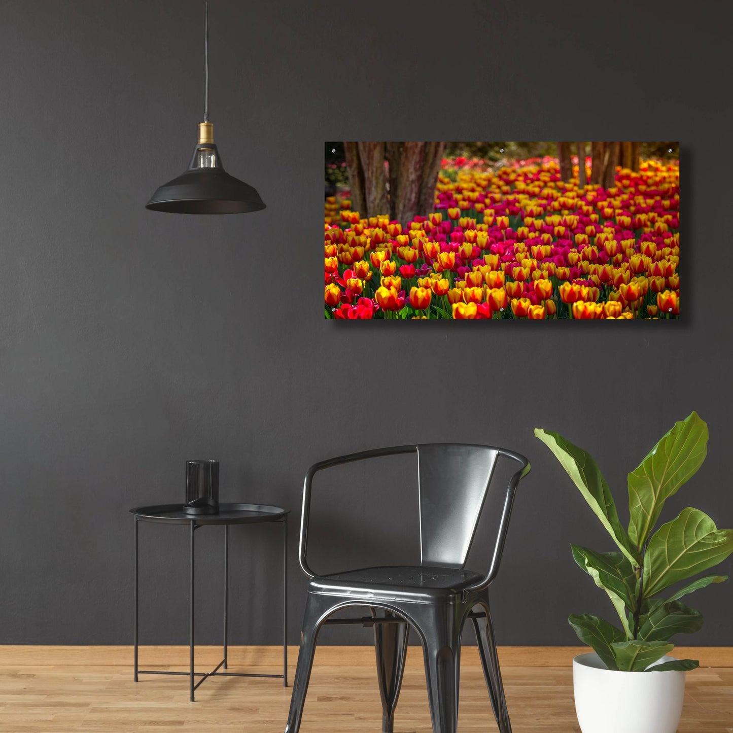 Epic Art 'Tulip Sea' by Jonathan Ross, Acrylic Glass Wall Art,48x24