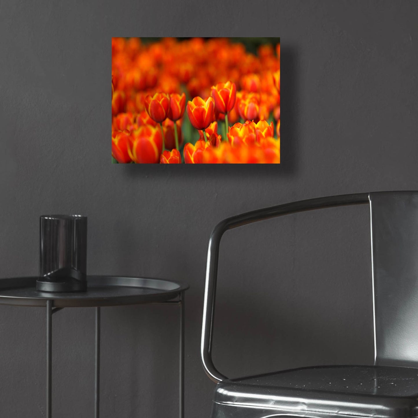 Epic Art 'Tulips Forever' by Jonathan Ross, Acrylic Glass Wall Art,16x12