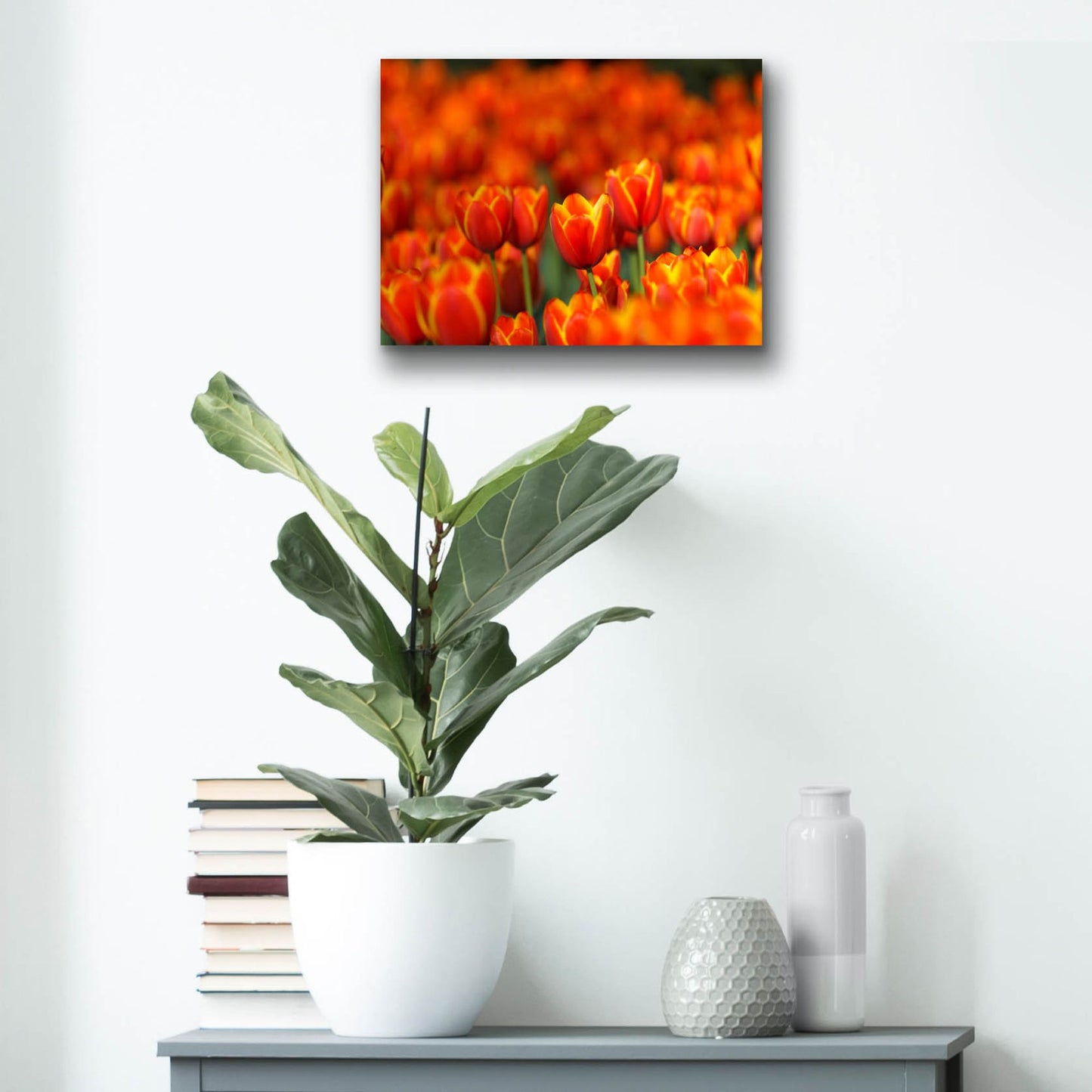 Epic Art 'Tulips Forever' by Jonathan Ross, Acrylic Glass Wall Art,16x12