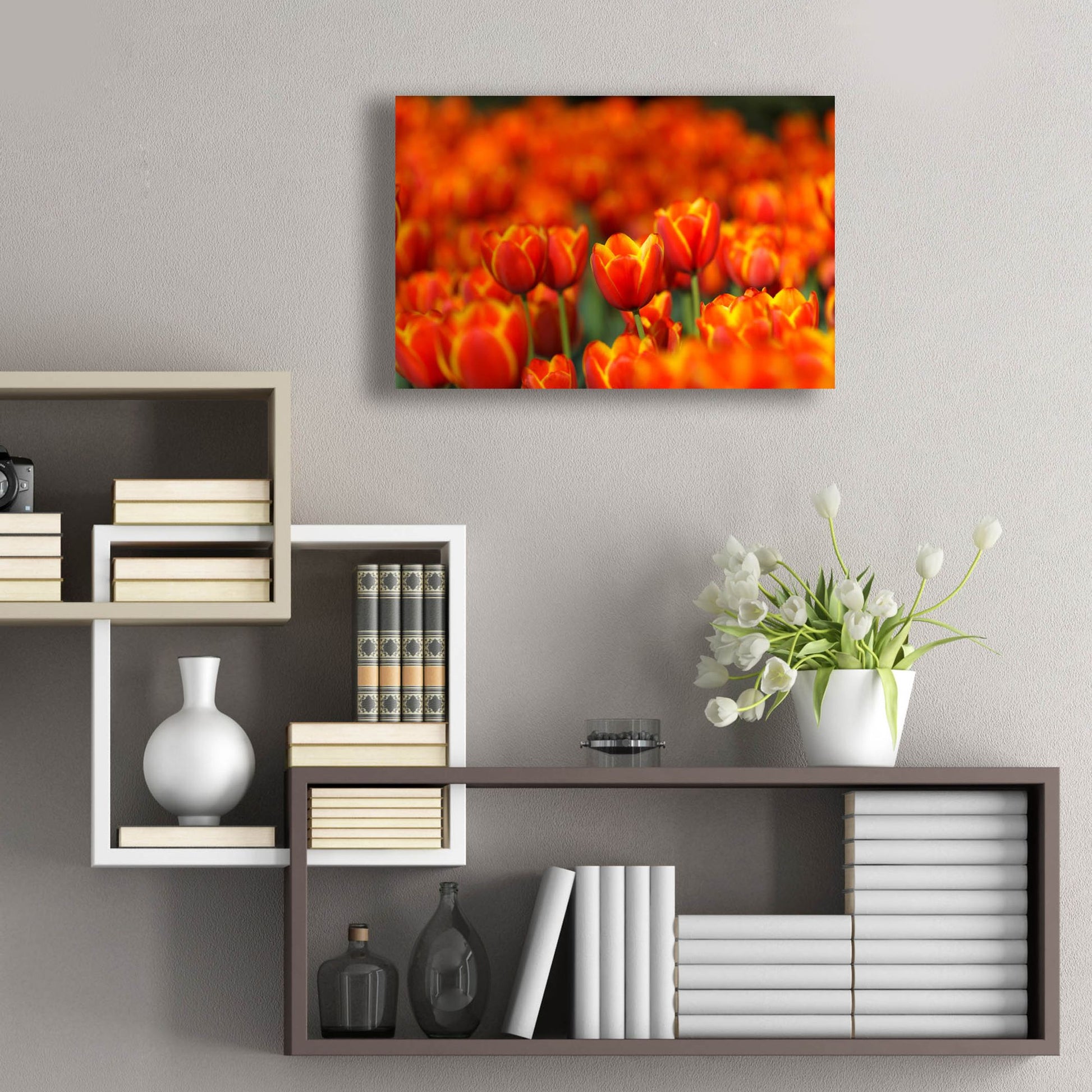 Epic Art 'Tulips Forever' by Jonathan Ross, Acrylic Glass Wall Art,24x16