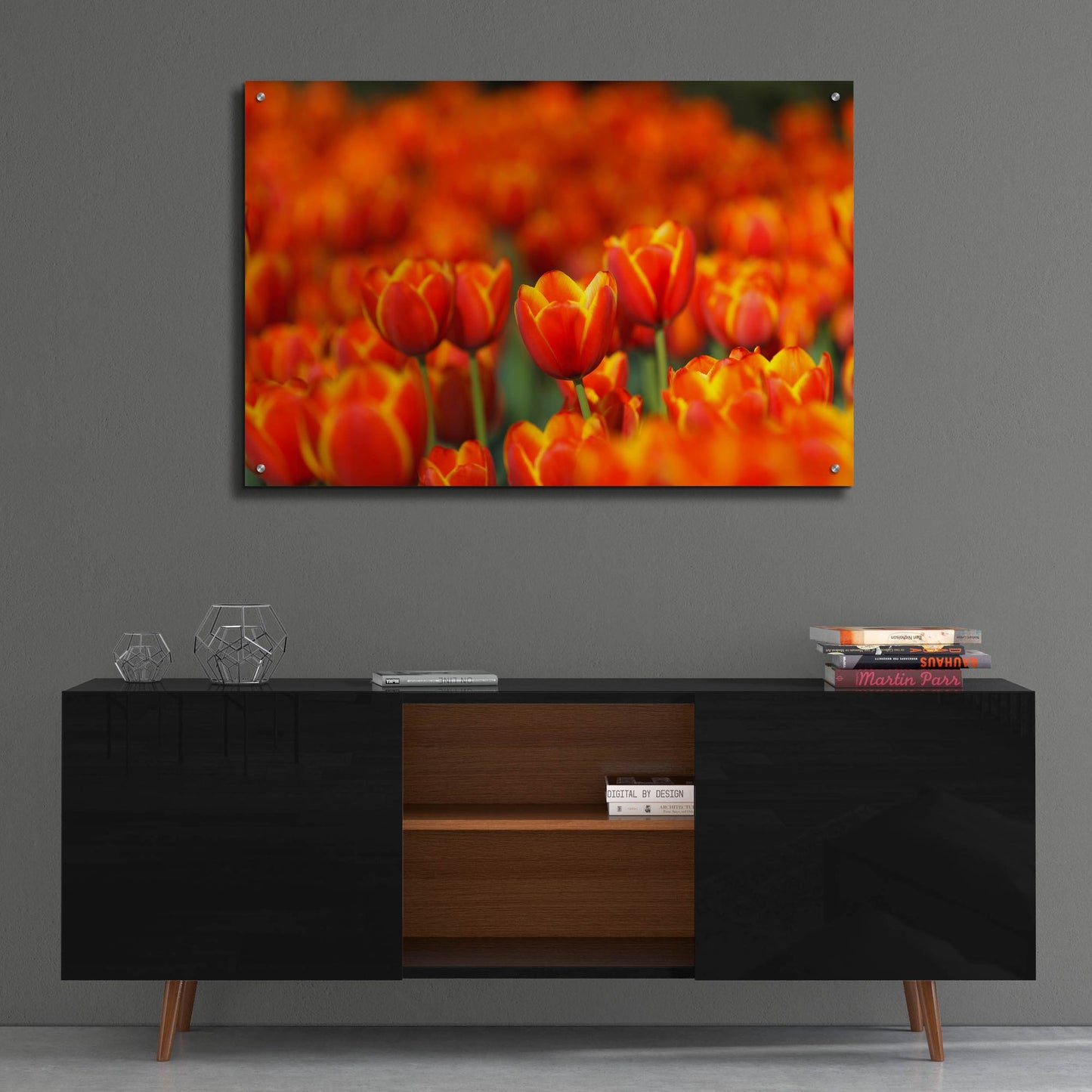 Epic Art 'Tulips Forever' by Jonathan Ross, Acrylic Glass Wall Art,36x24