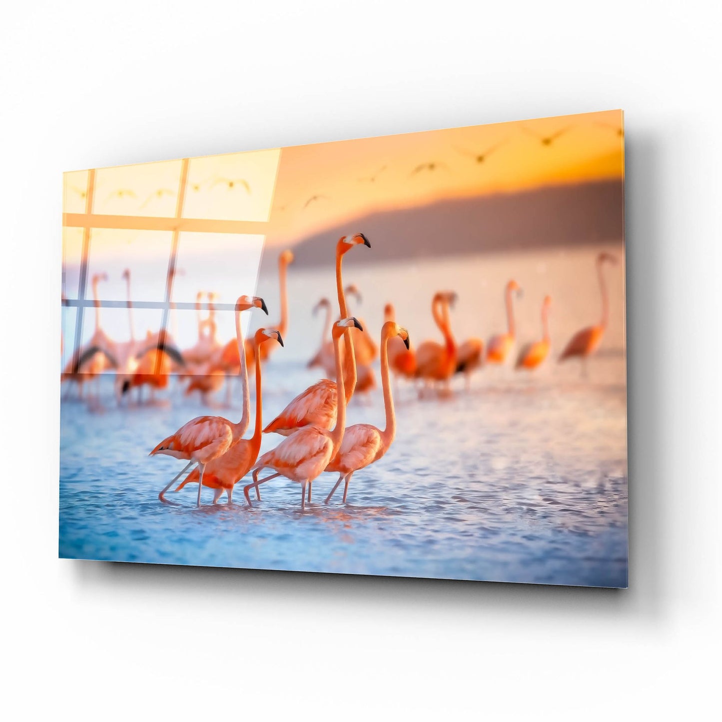 Epic Art 'Wading Flamingos' by Jonathan Ross, Acrylic Glass Wall Art,16x12