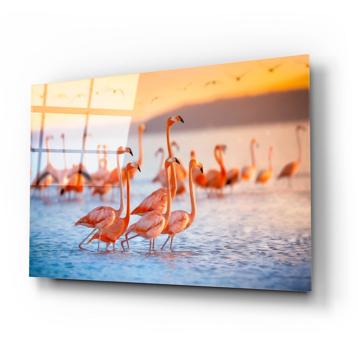 Epic Art 'Wading Flamingos' by Jonathan Ross, Acrylic Glass Wall Art,24x16