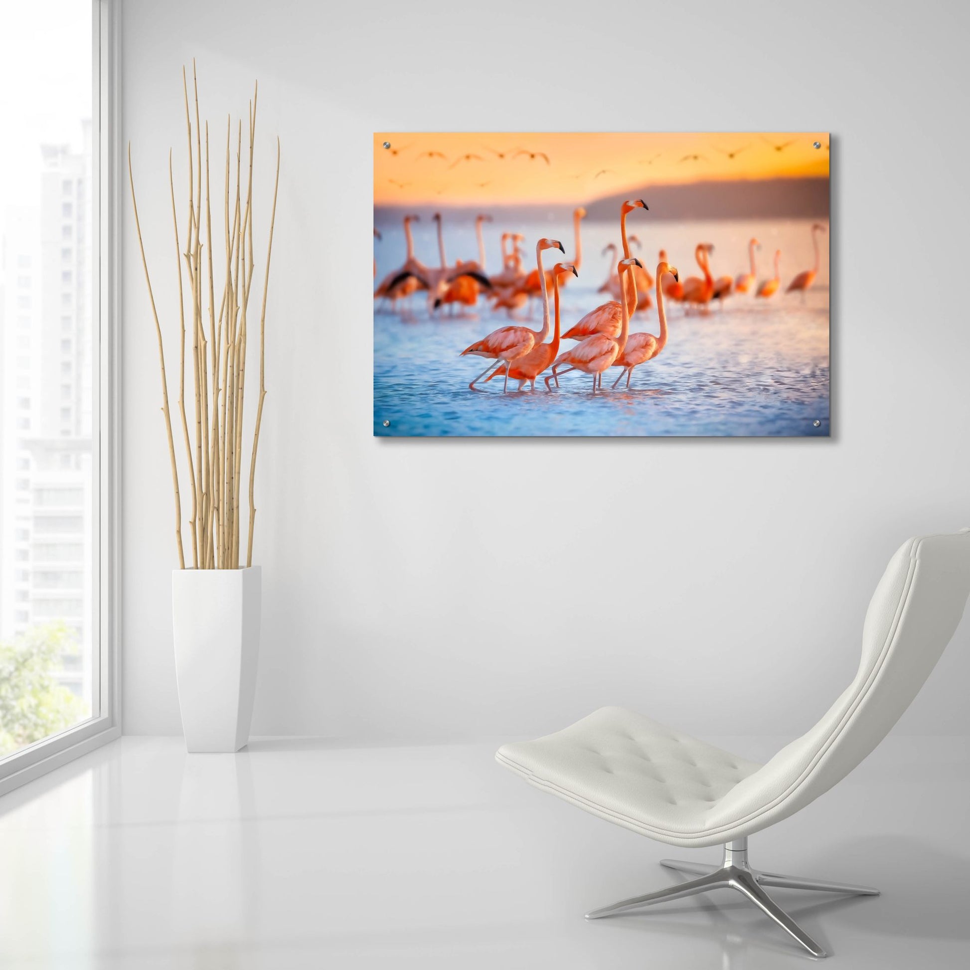 Epic Art 'Wading Flamingos' by Jonathan Ross, Acrylic Glass Wall Art,36x24