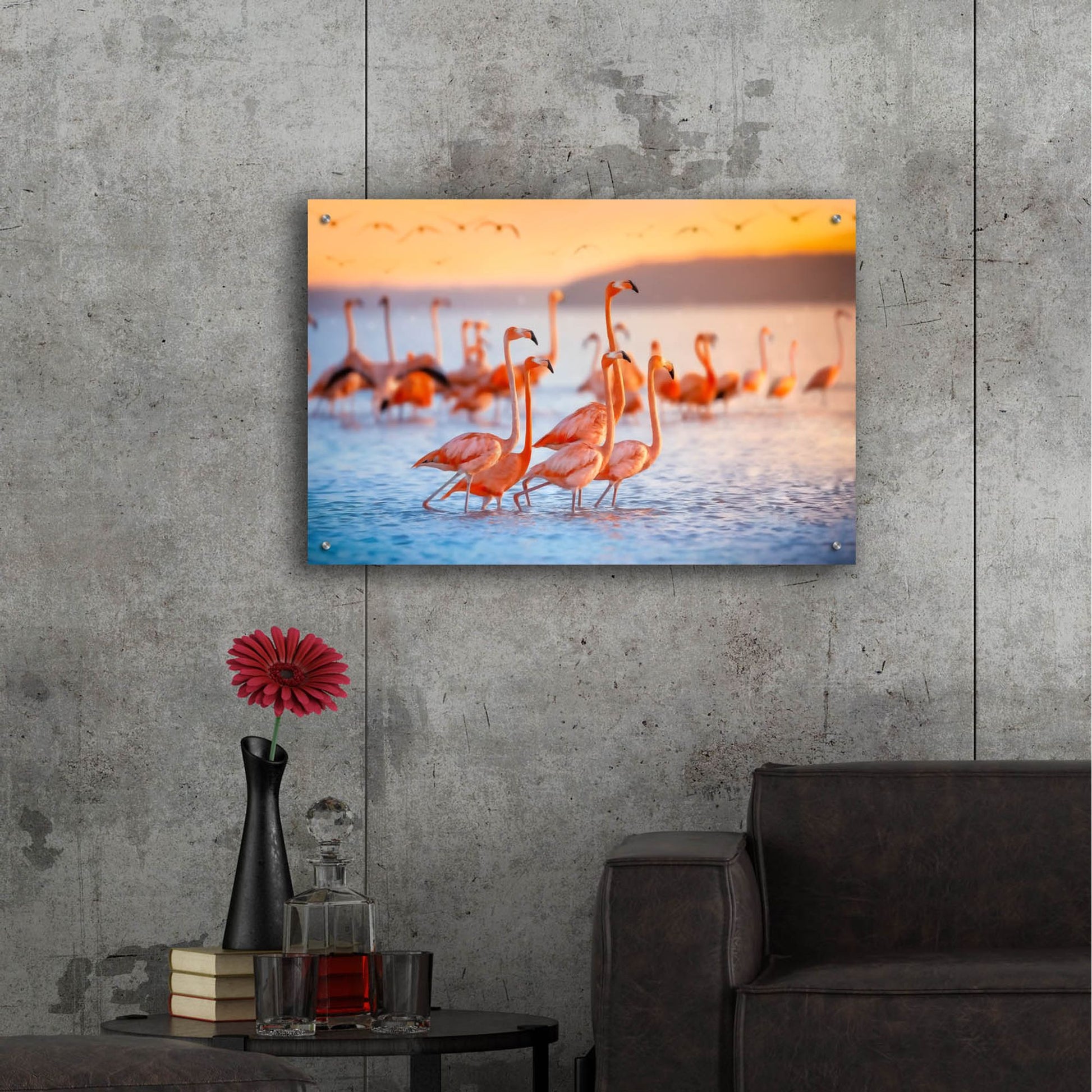 Epic Art 'Wading Flamingos' by Jonathan Ross, Acrylic Glass Wall Art,36x24