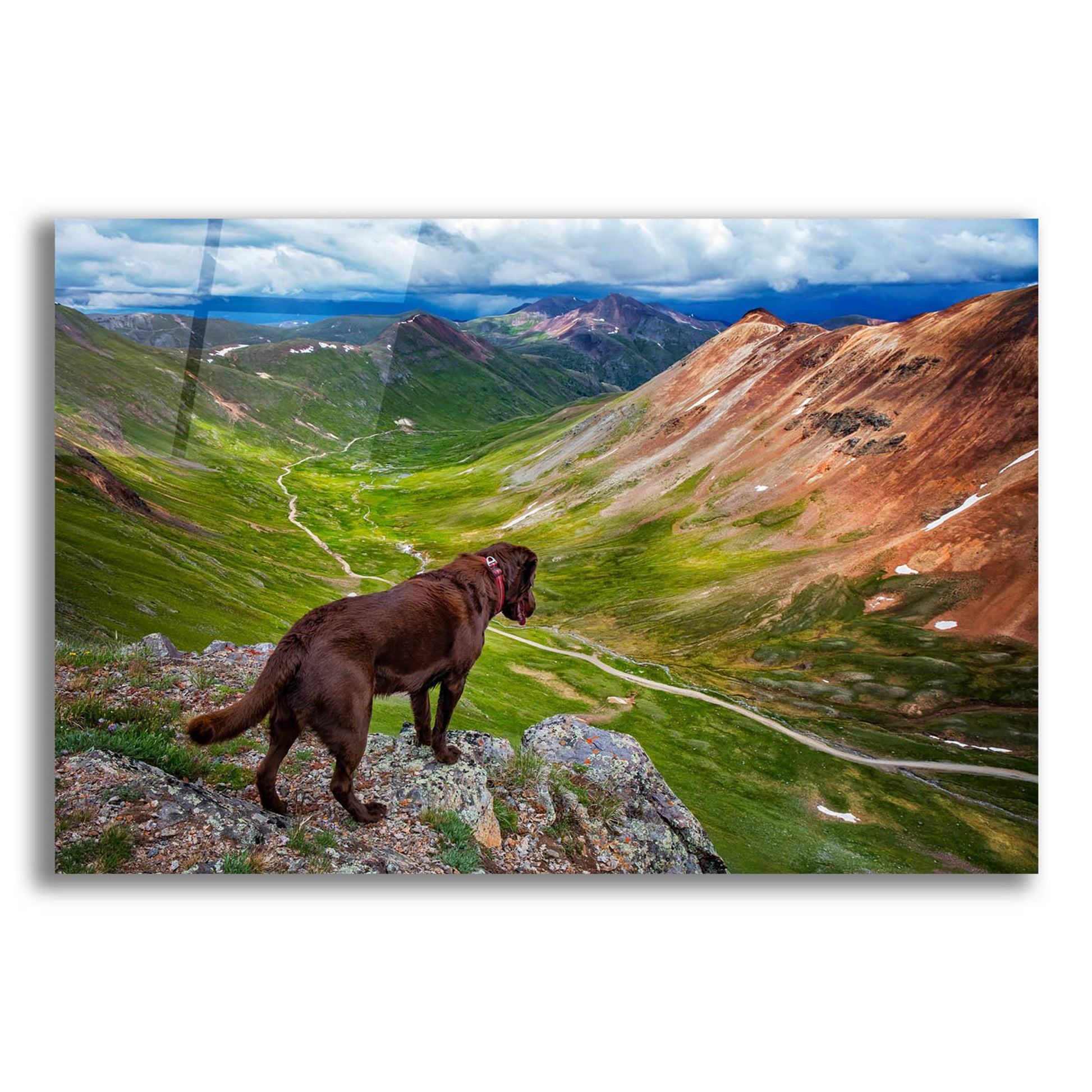 Epic Art 'A Dog On An Adventure' by Jonathan Ross, Acrylic Glass Wall Art,16x12