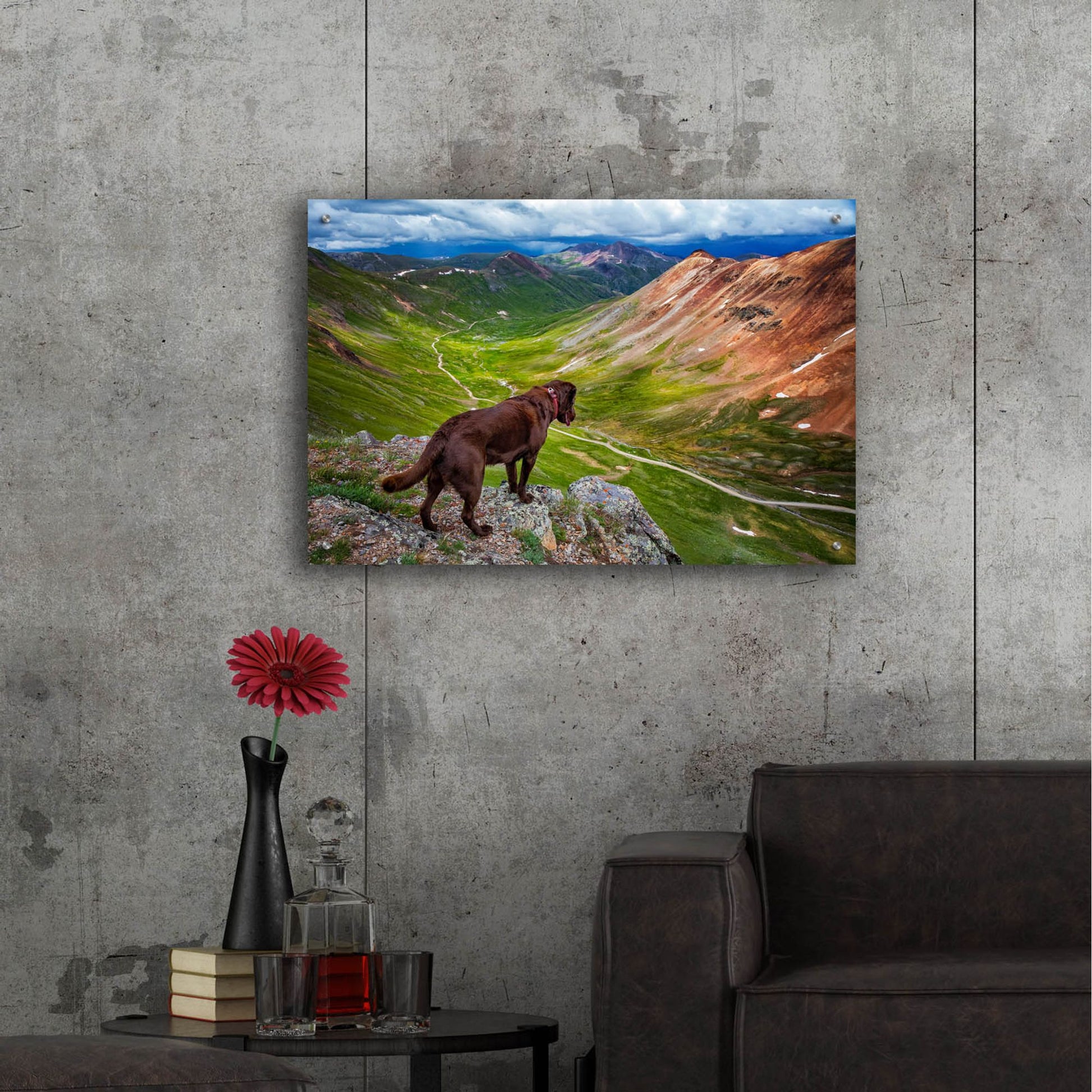 Epic Art 'A Dog On An Adventure' by Jonathan Ross, Acrylic Glass Wall Art,36x24