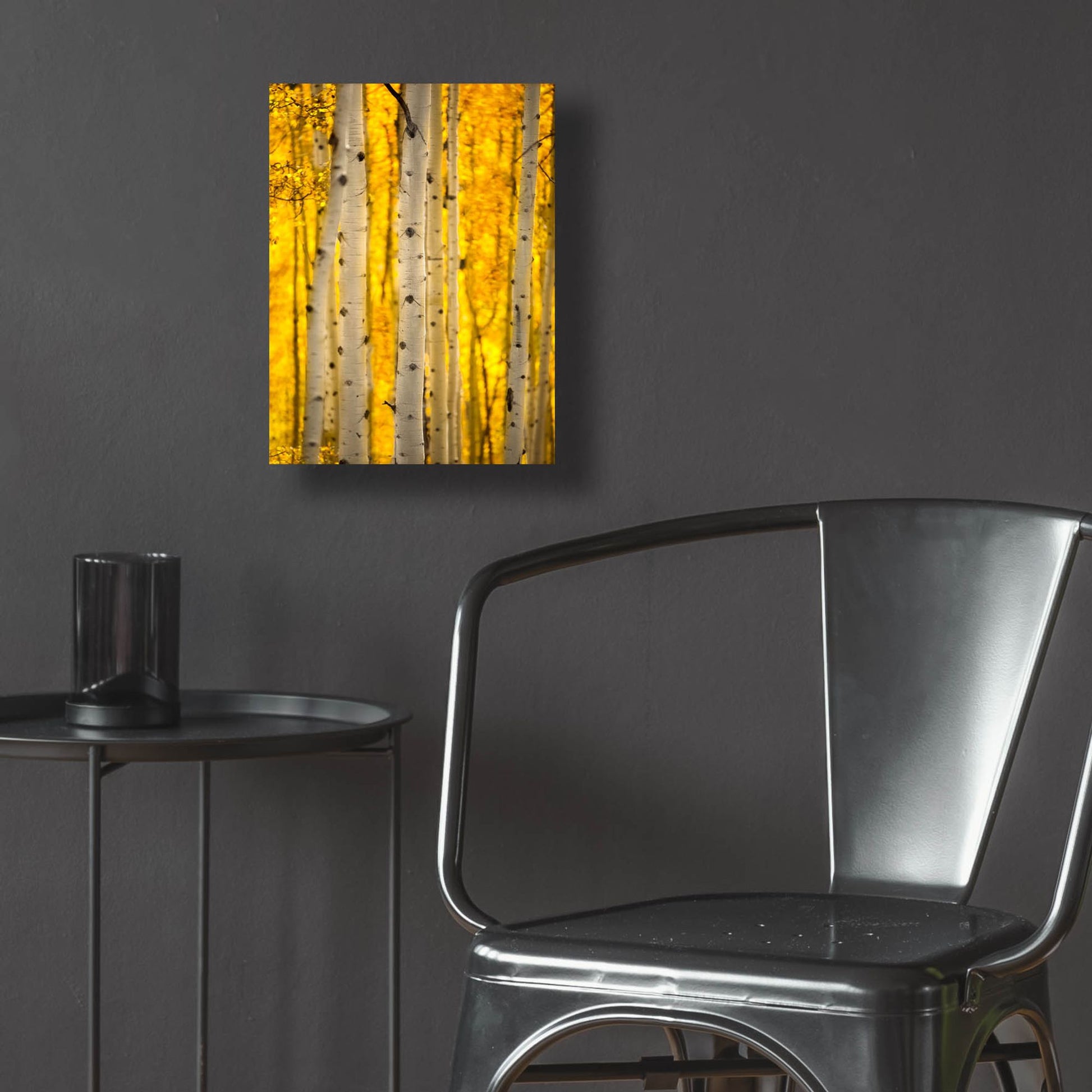 Epic Art 'Aspen Trees' by Jonathan Ross, Acrylic Glass Wall Art,12x16