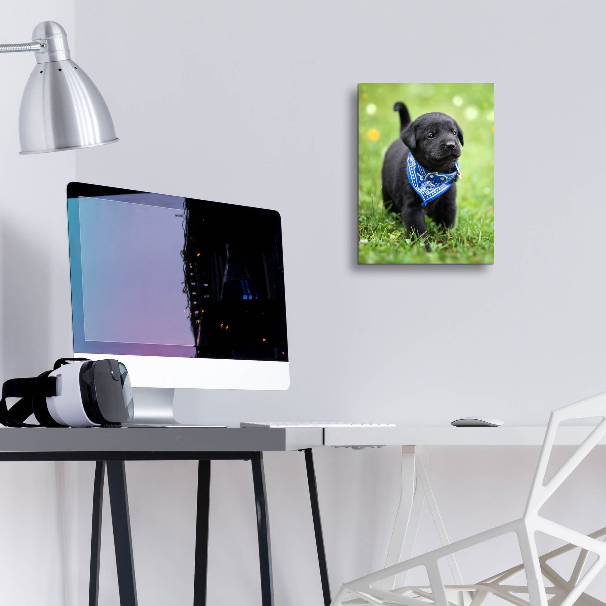 Epic Art 'Black Lab Pup 1' by Jonathan Ross, Acrylic Glass Wall Art,12x16