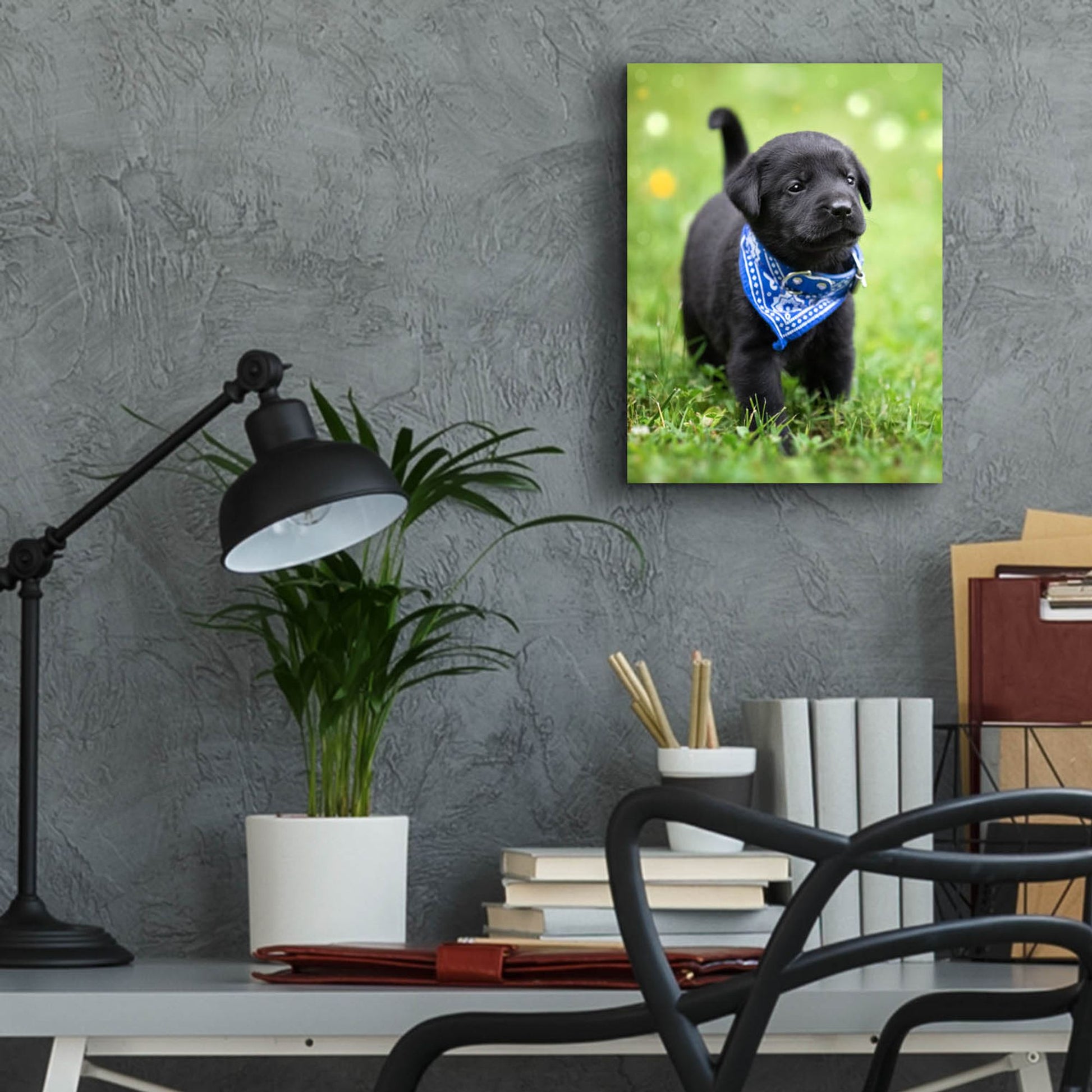 Epic Art 'Black Lab Pup 1' by Jonathan Ross, Acrylic Glass Wall Art,12x16