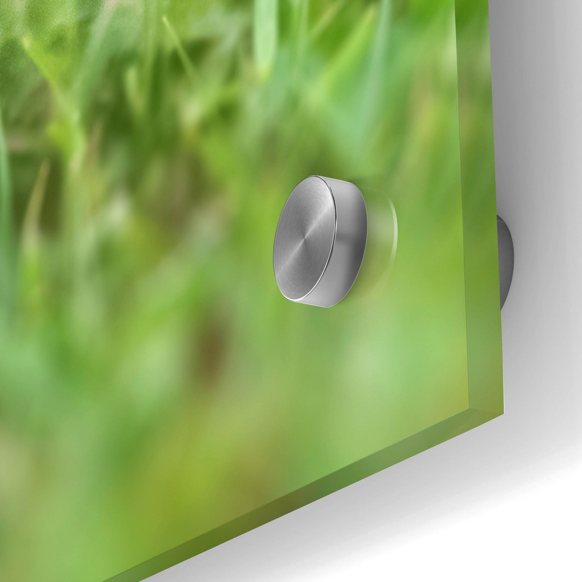 Epic Art 'Black Lab Pup 1' by Jonathan Ross, Acrylic Glass Wall Art,24x36