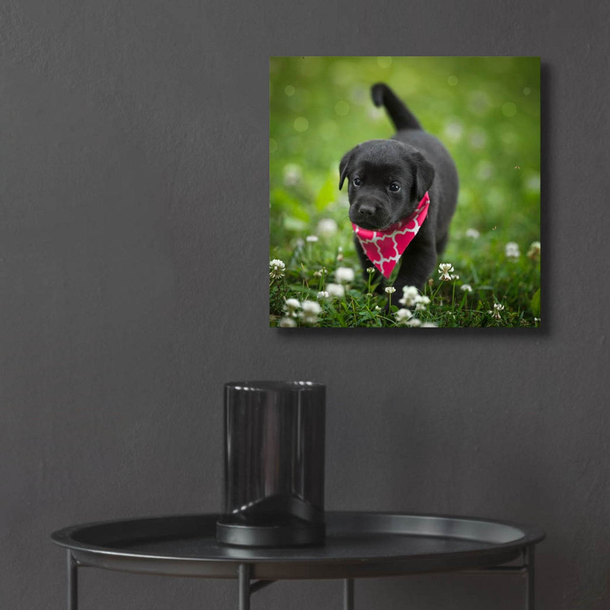 Epic Art 'Black Lab Pup 3' by Jonathan Ross, Acrylic Glass Wall Art,12x12