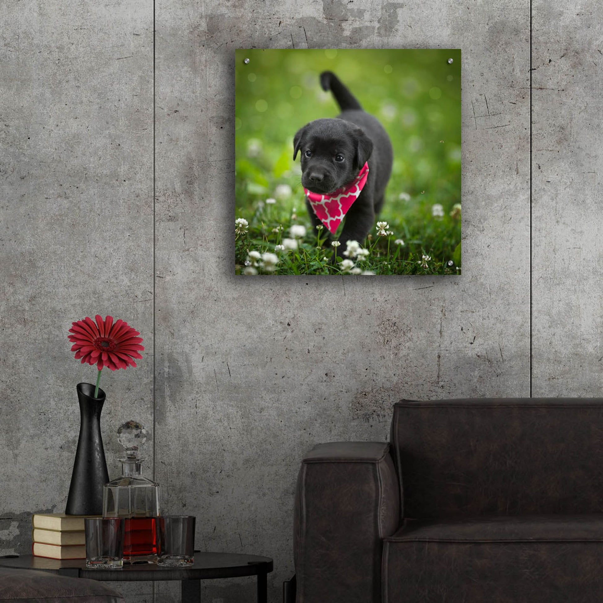 Epic Art 'Black Lab Pup 3' by Jonathan Ross, Acrylic Glass Wall Art,24x24