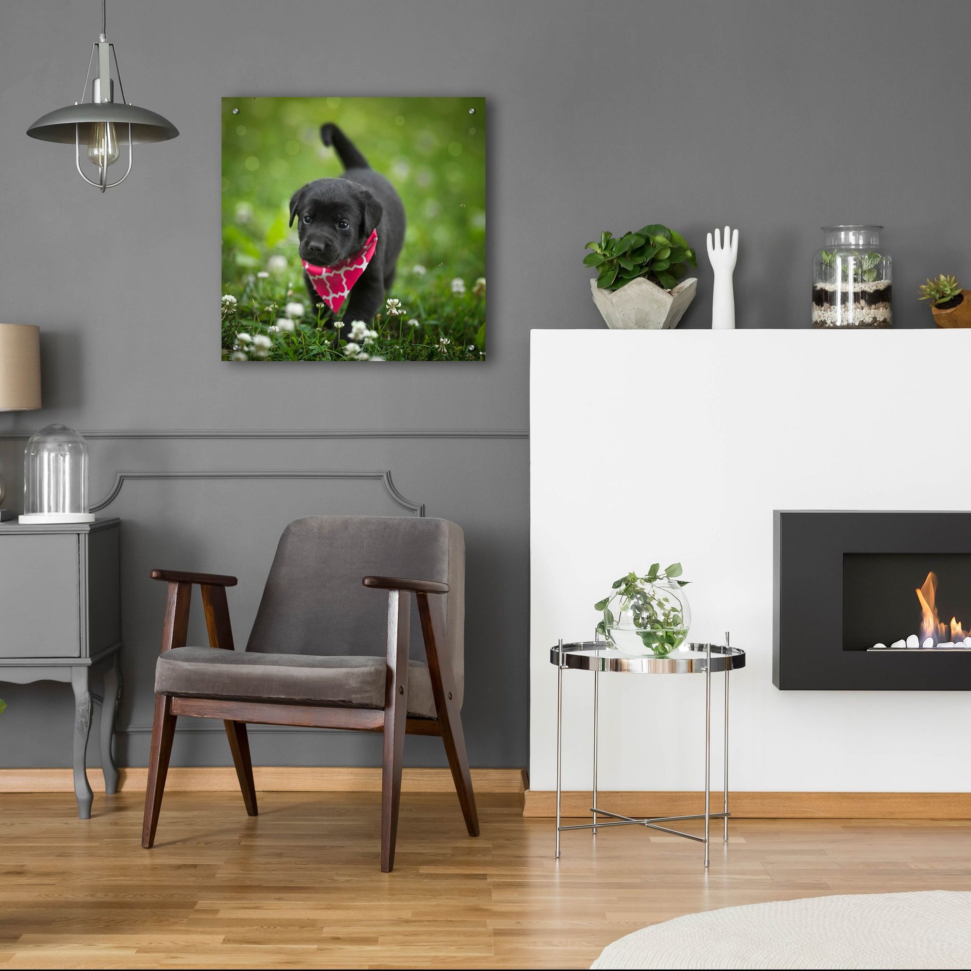 Epic Art 'Black Lab Pup 3' by Jonathan Ross, Acrylic Glass Wall Art,24x24