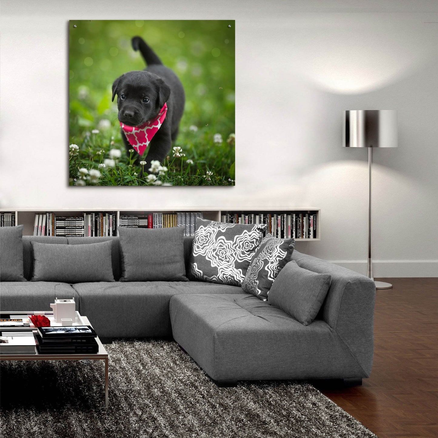 Epic Art 'Black Lab Pup 3' by Jonathan Ross, Acrylic Glass Wall Art,36x36