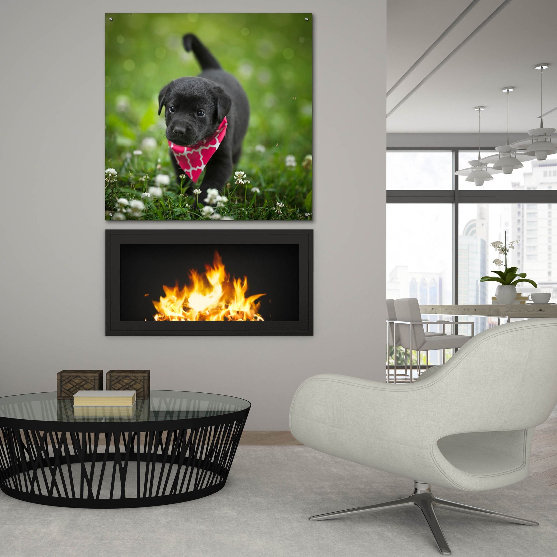 Epic Art 'Black Lab Pup 3' by Jonathan Ross, Acrylic Glass Wall Art,36x36