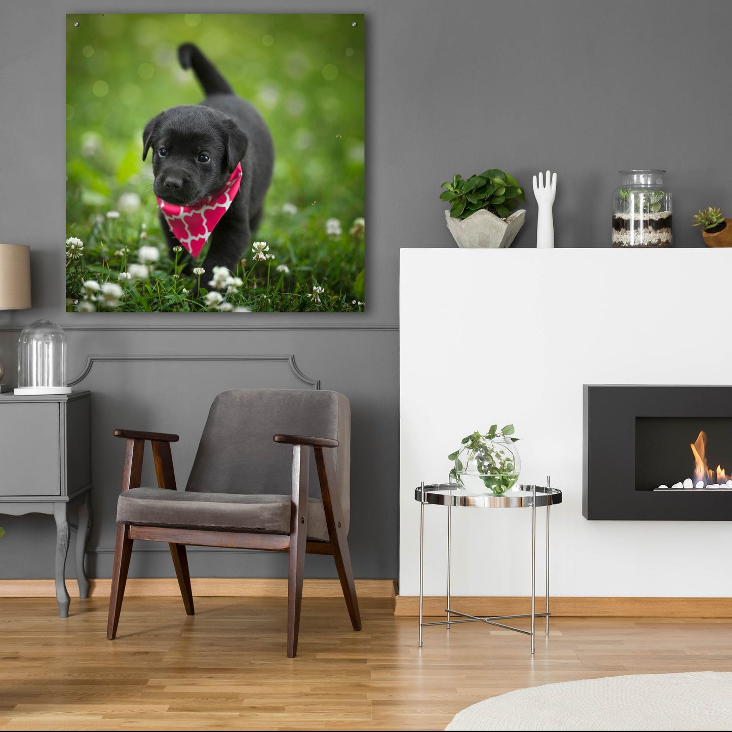 Epic Art 'Black Lab Pup 3' by Jonathan Ross, Acrylic Glass Wall Art,36x36