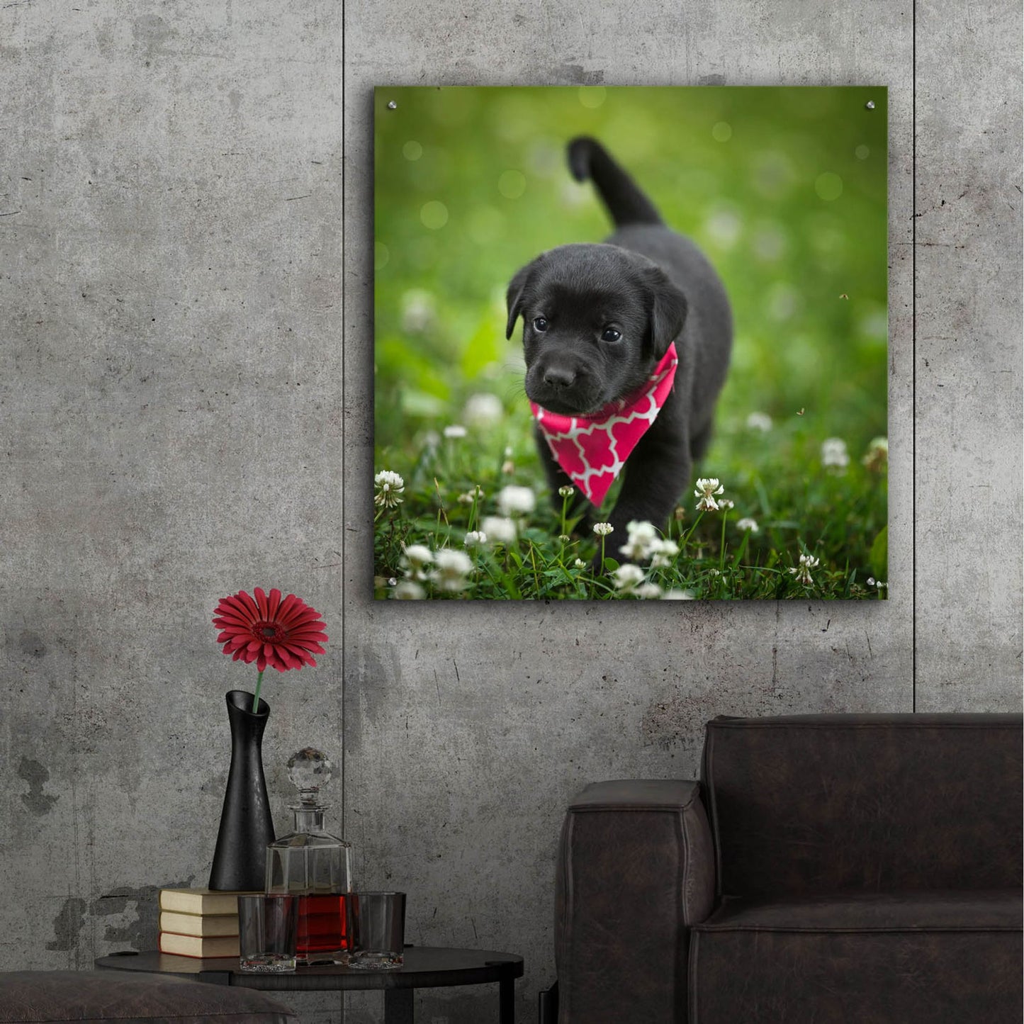 Epic Art 'Black Lab Pup 3' by Jonathan Ross, Acrylic Glass Wall Art,36x36