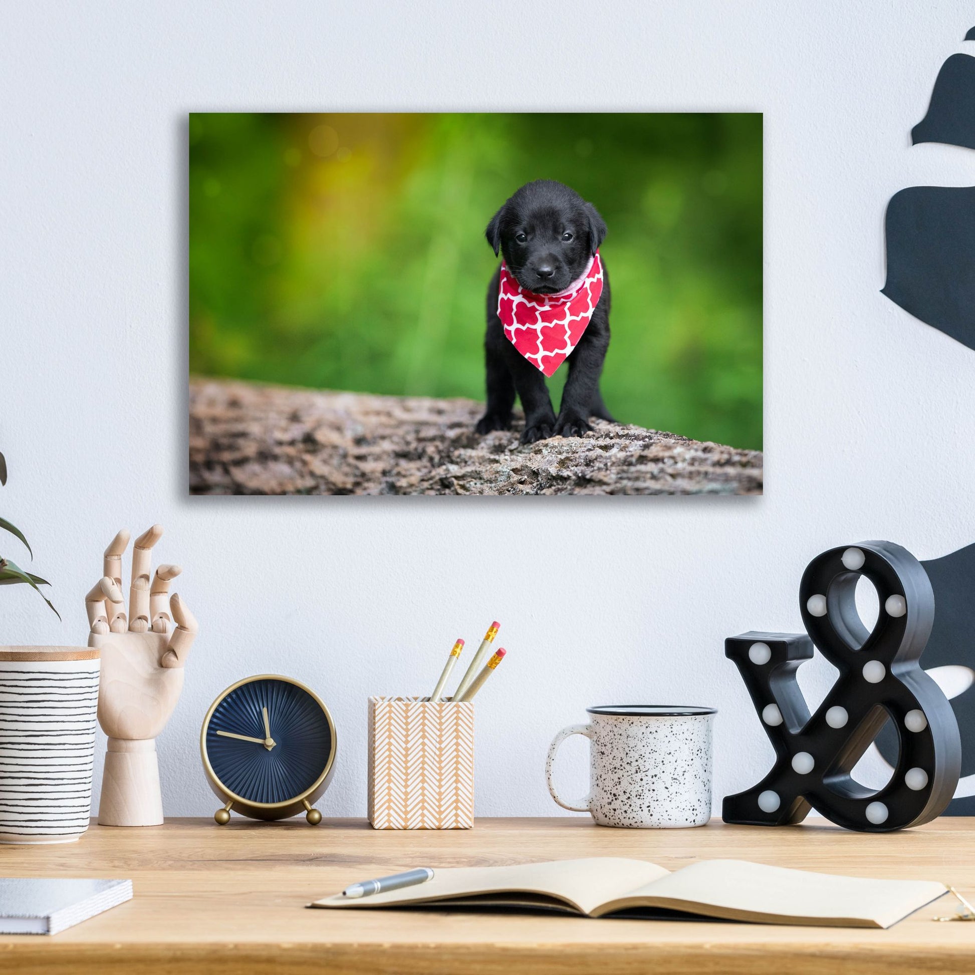 Epic Art 'Black Lab Pup 4' by Jonathan Ross, Acrylic Glass Wall Art,16x12