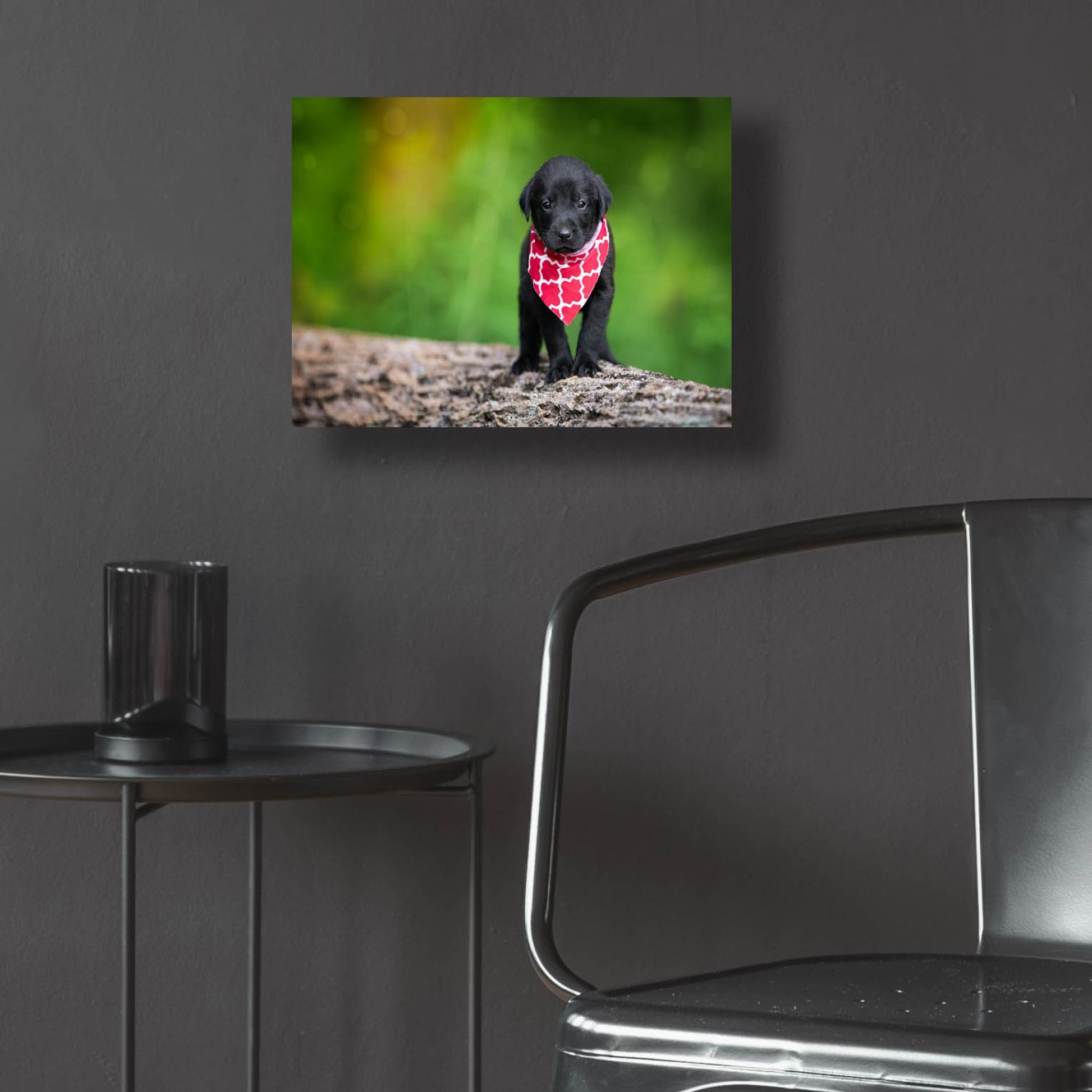 Epic Art 'Black Lab Pup 4' by Jonathan Ross, Acrylic Glass Wall Art,16x12