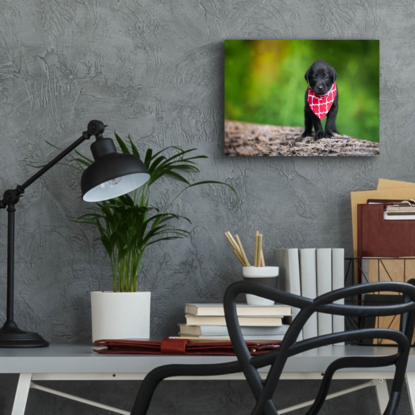 Epic Art 'Black Lab Pup 4' by Jonathan Ross, Acrylic Glass Wall Art,16x12