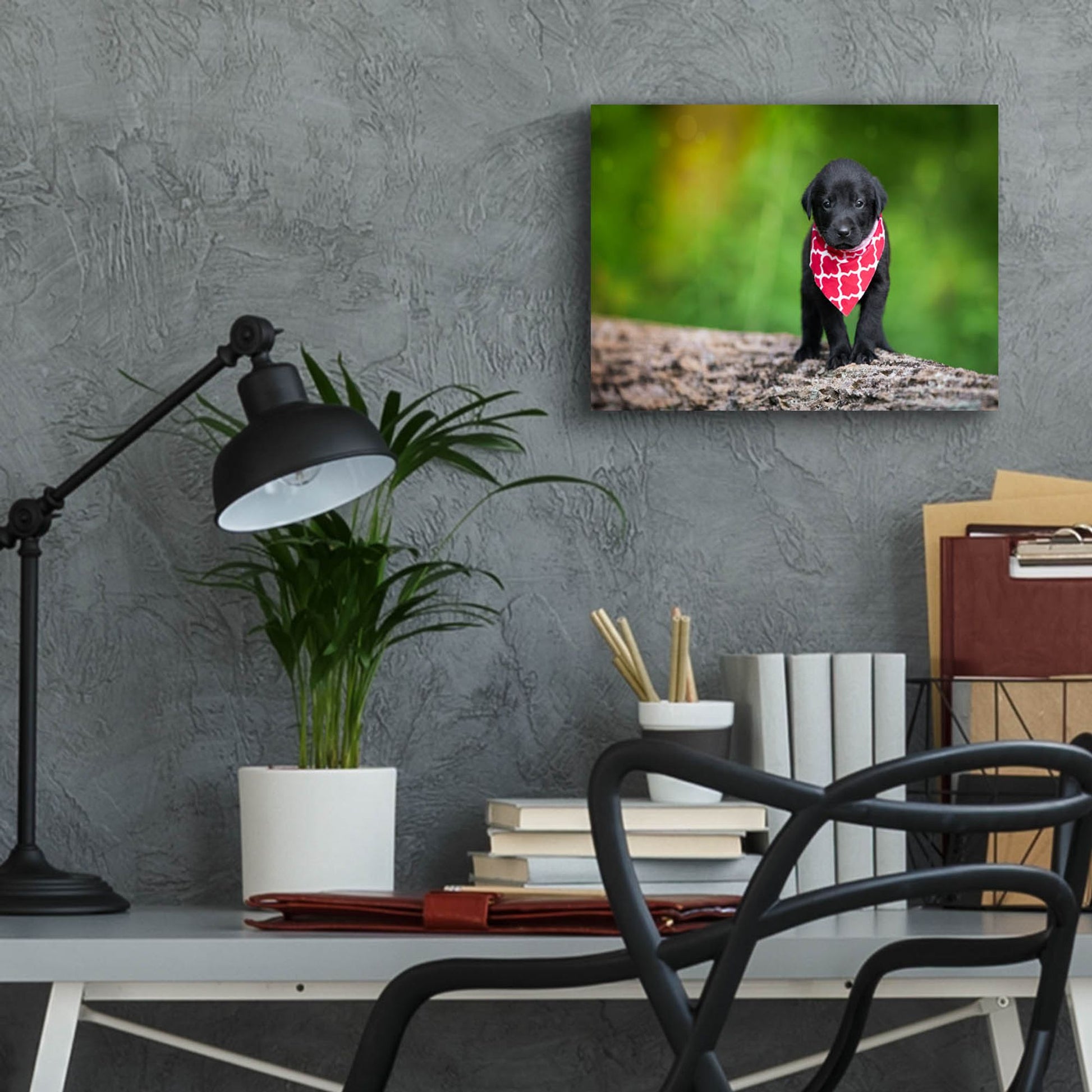 Epic Art 'Black Lab Pup 4' by Jonathan Ross, Acrylic Glass Wall Art,16x12