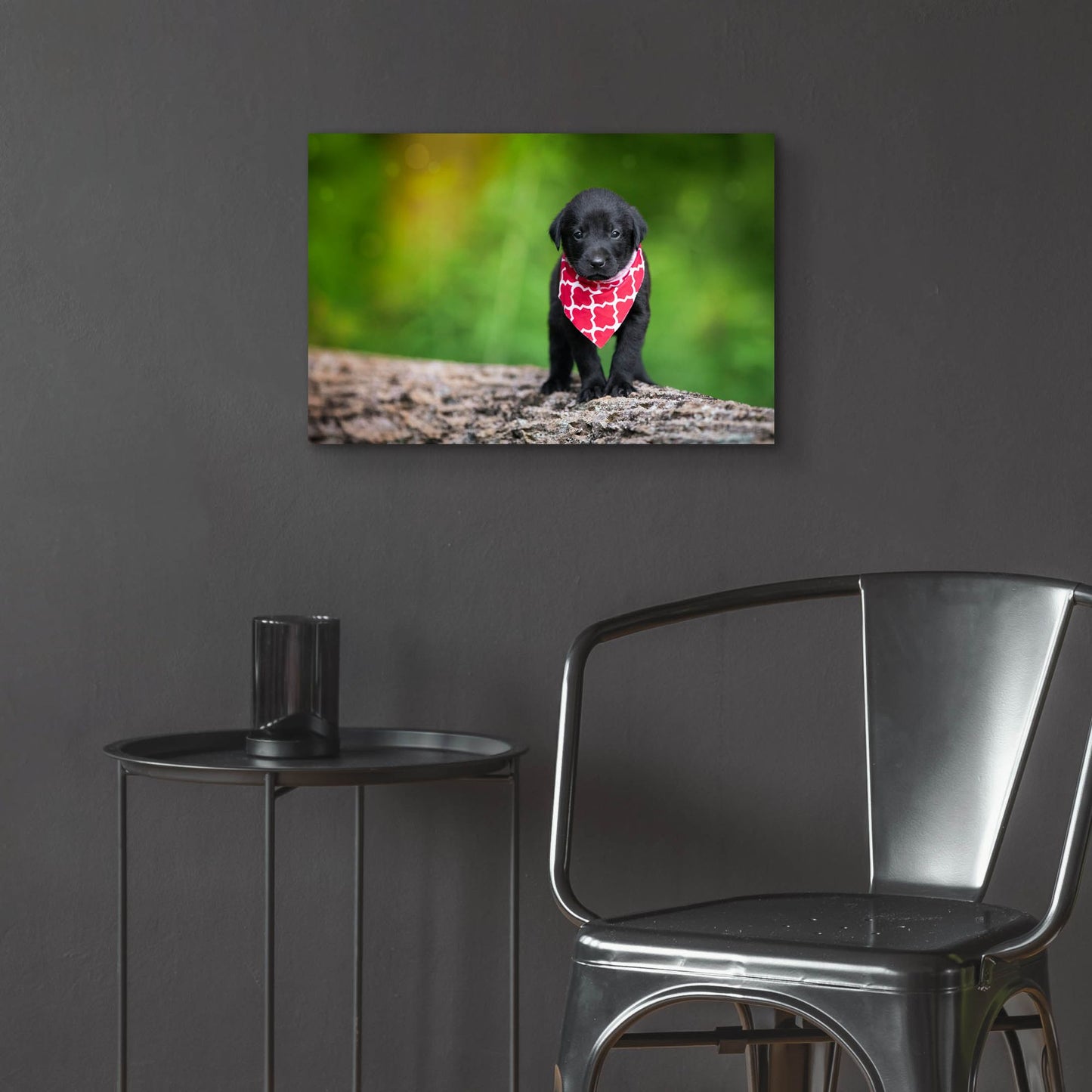 Epic Art 'Black Lab Pup 4' by Jonathan Ross, Acrylic Glass Wall Art,24x16