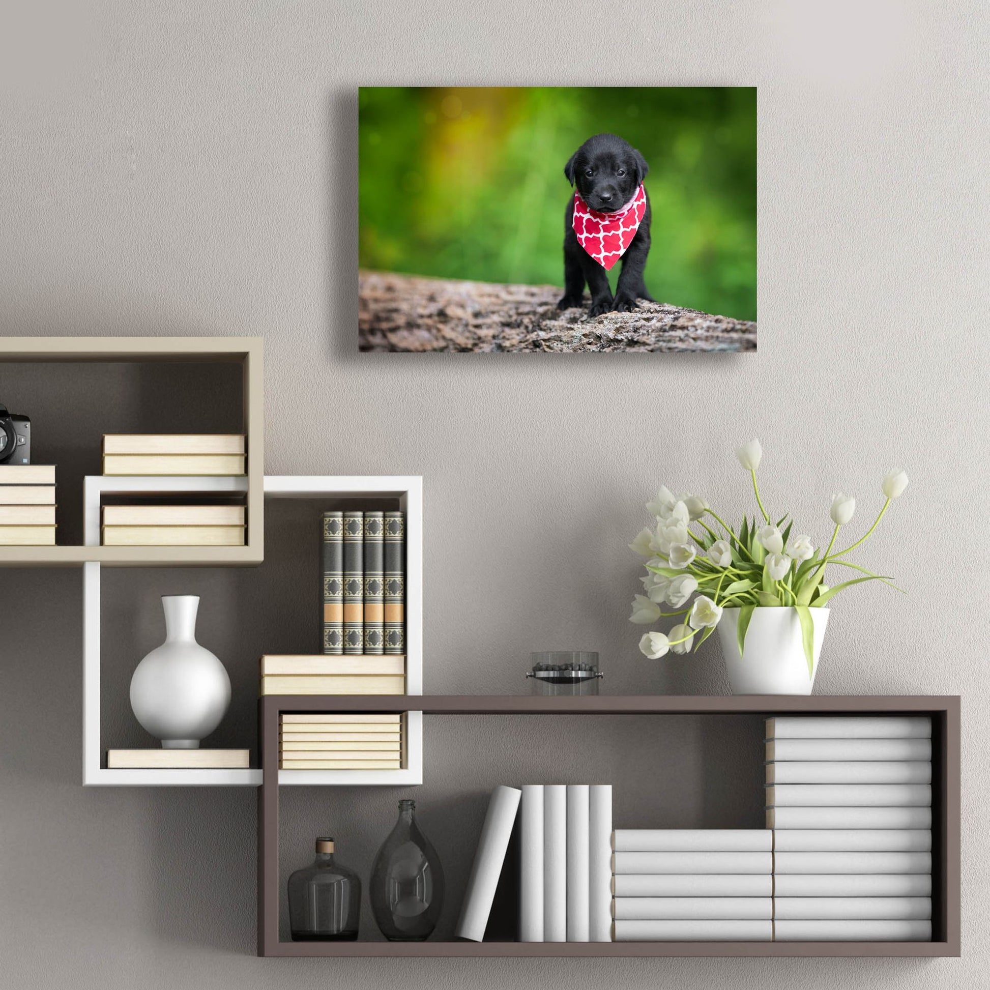 Epic Art 'Black Lab Pup 4' by Jonathan Ross, Acrylic Glass Wall Art,24x16