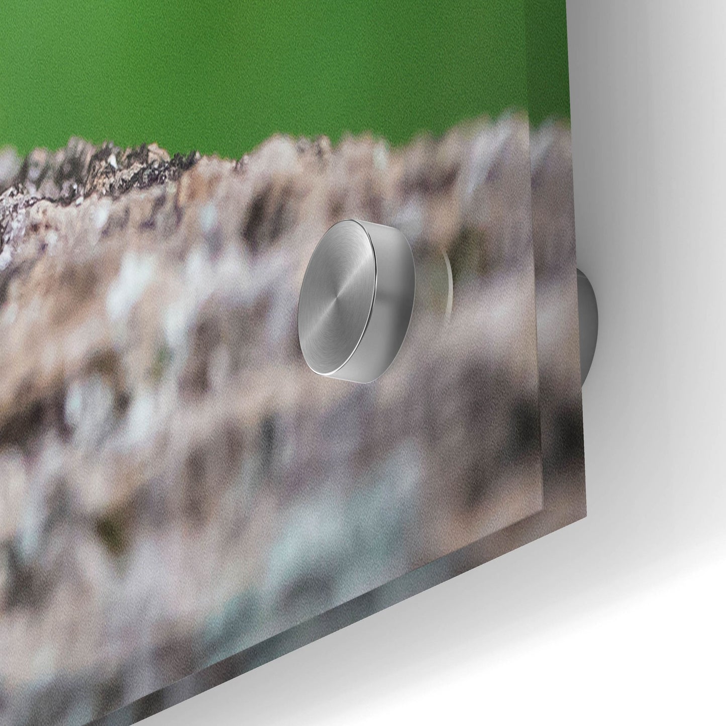 Epic Art 'Black Lab Pup 4' by Jonathan Ross, Acrylic Glass Wall Art,36x24