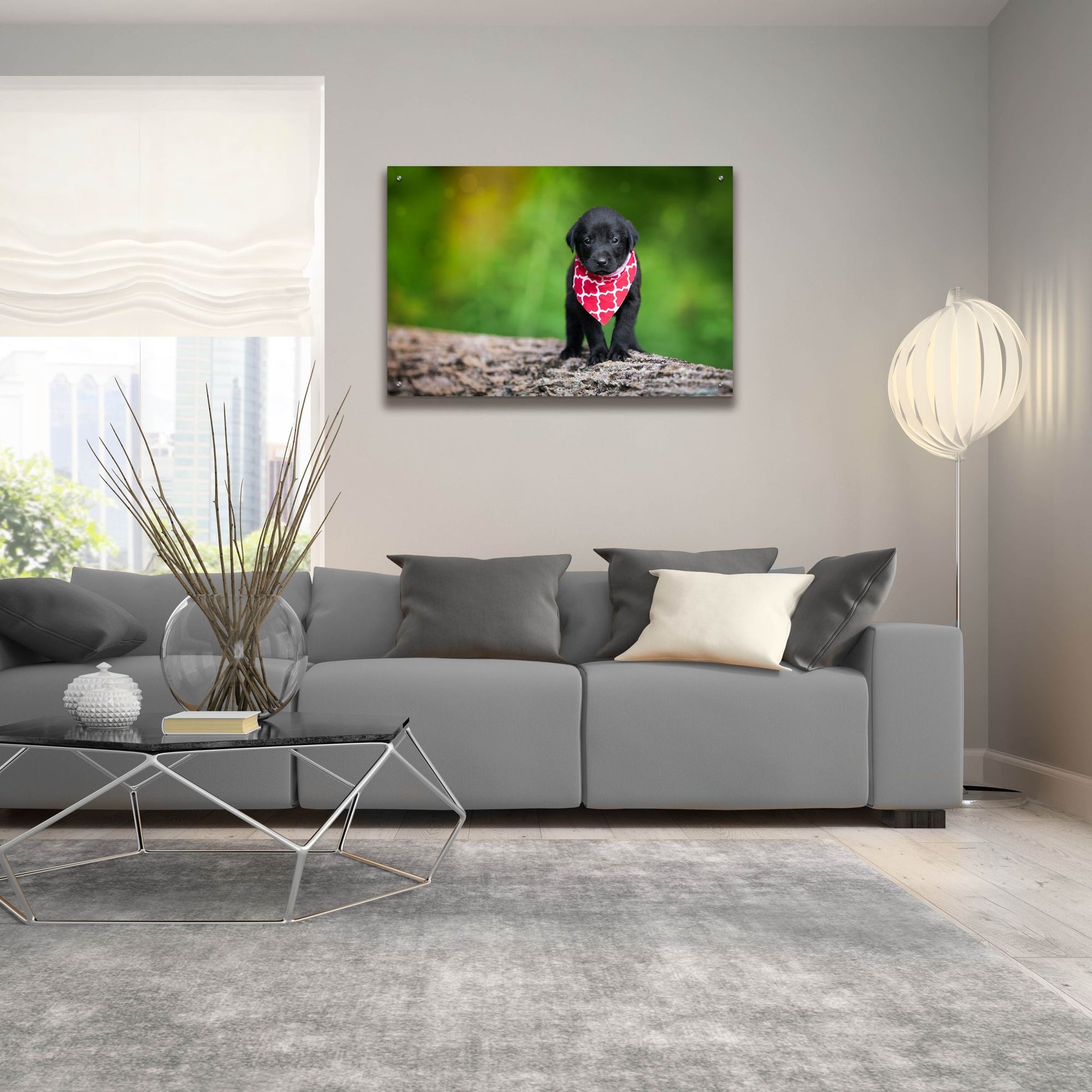 Epic Art 'Black Lab Pup 4' by Jonathan Ross, Acrylic Glass Wall Art,36x24