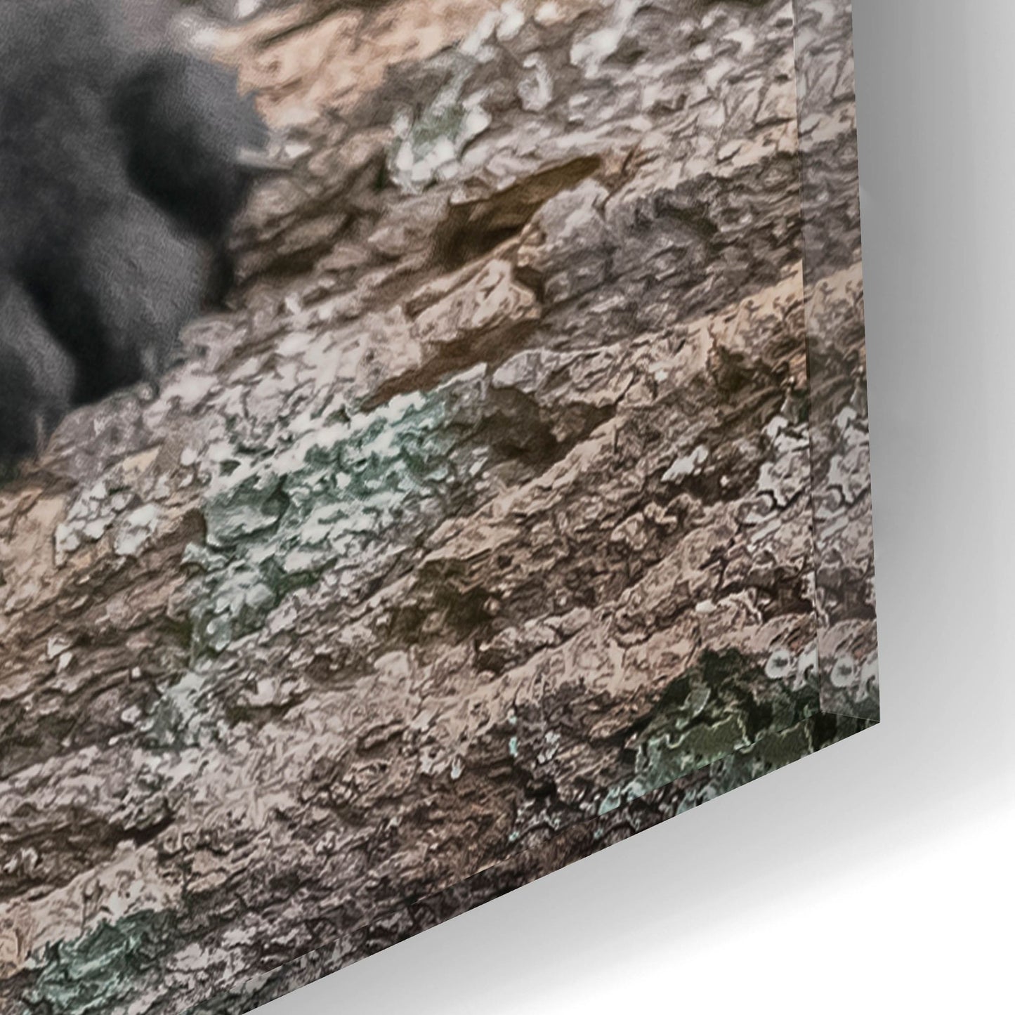 Epic Art 'Black Lab Pup 6' by Jonathan Ross, Acrylic Glass Wall Art,12x16