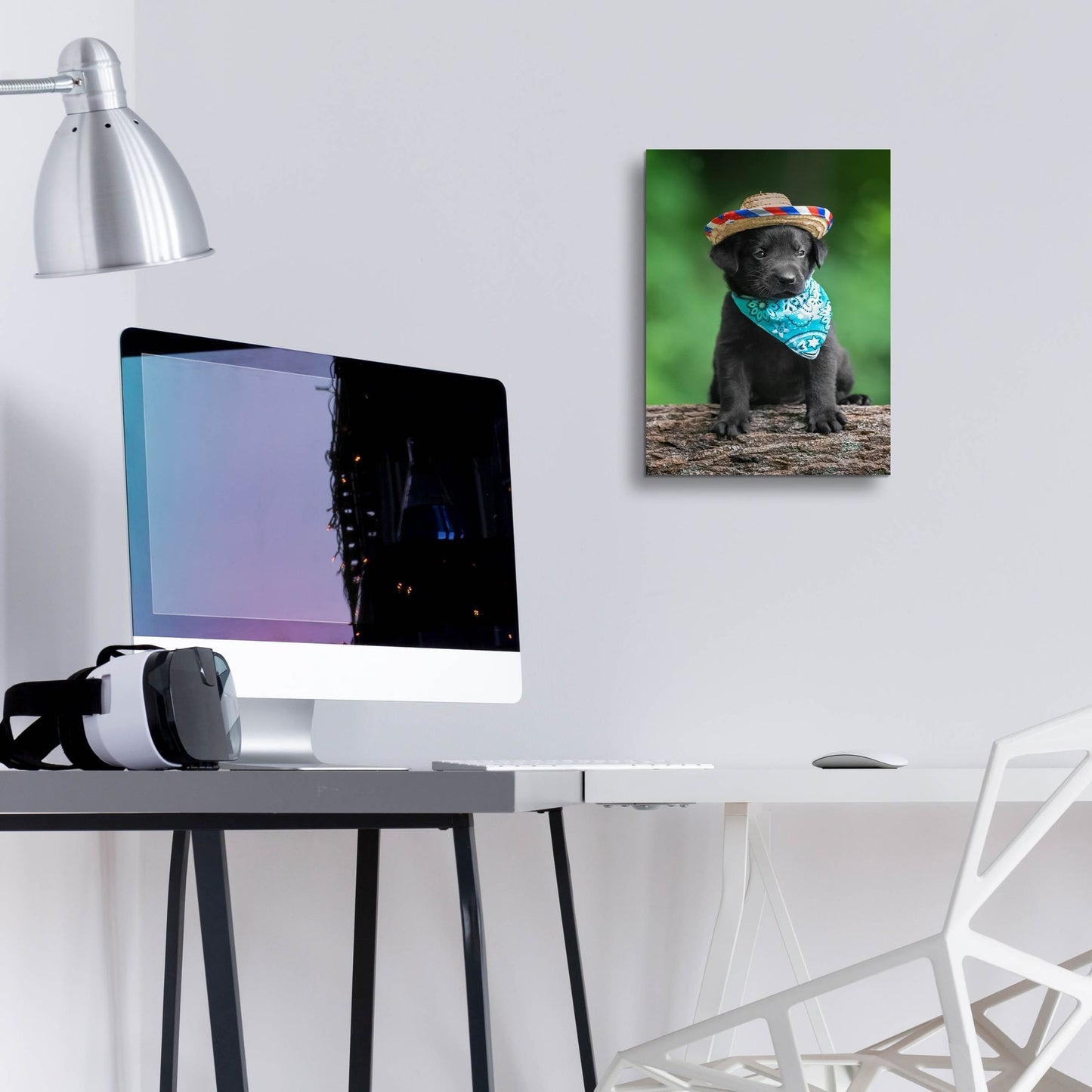 Epic Art 'Black Lab Pup 6' by Jonathan Ross, Acrylic Glass Wall Art,12x16