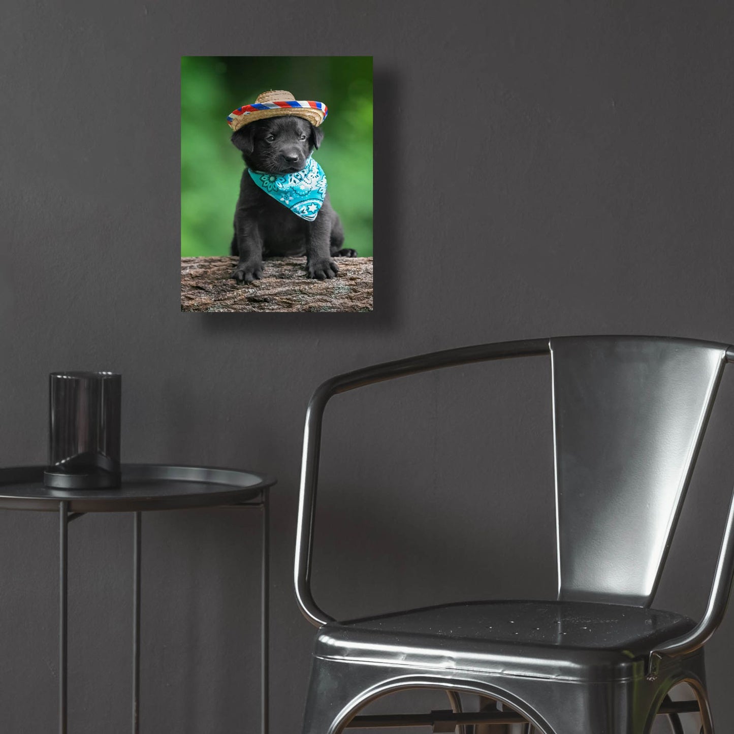 Epic Art 'Black Lab Pup 6' by Jonathan Ross, Acrylic Glass Wall Art,12x16