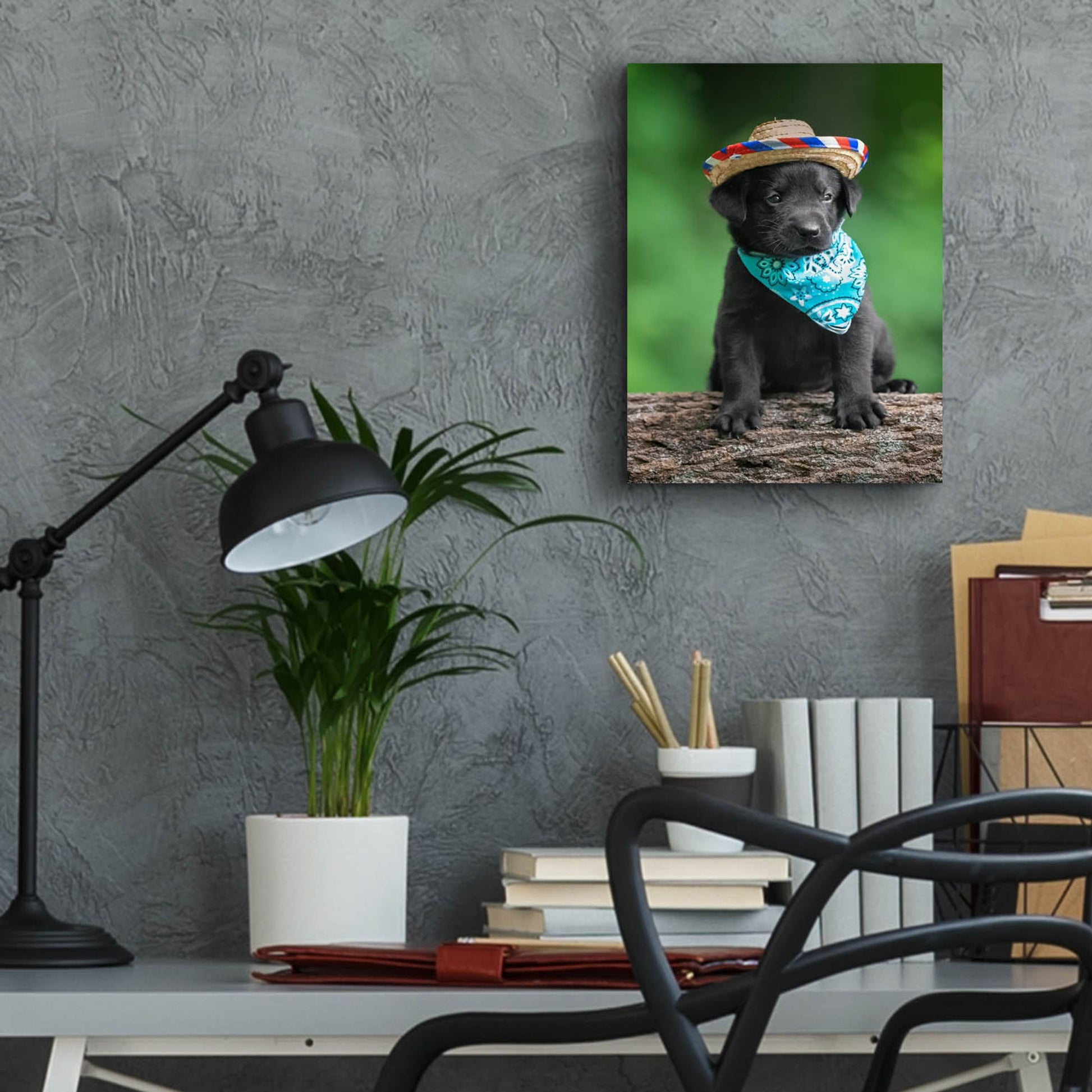 Epic Art 'Black Lab Pup 6' by Jonathan Ross, Acrylic Glass Wall Art,12x16