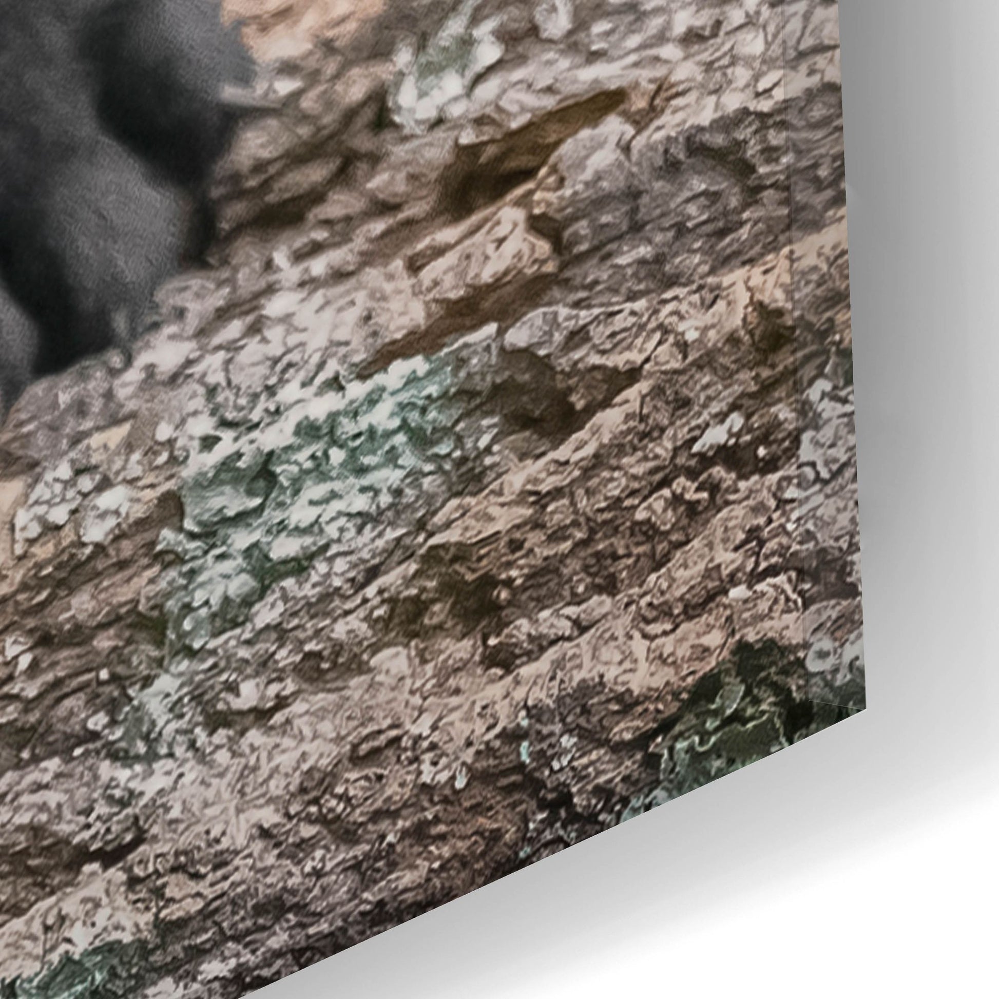 Epic Art 'Black Lab Pup 6' by Jonathan Ross, Acrylic Glass Wall Art,16x24