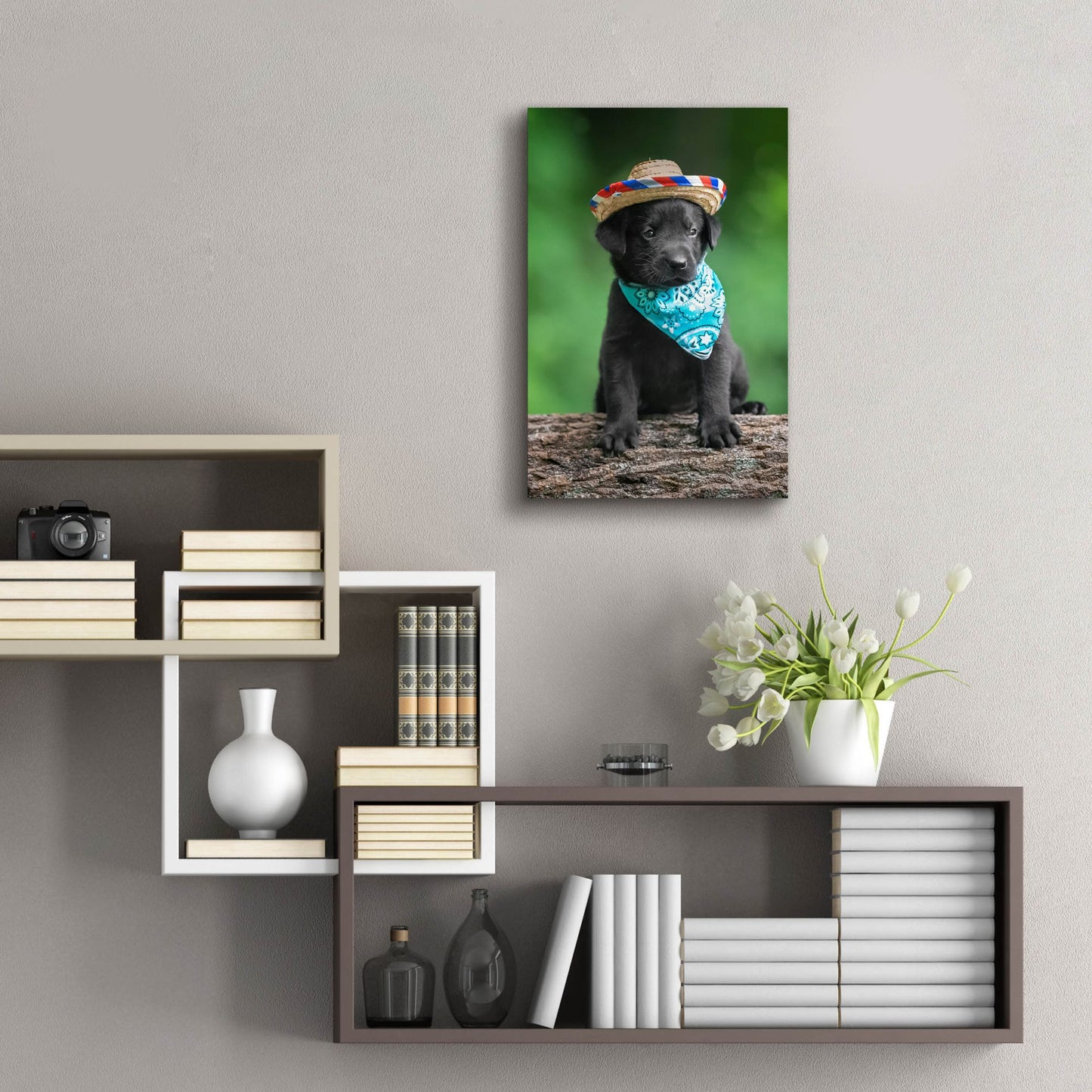 Epic Art 'Black Lab Pup 6' by Jonathan Ross, Acrylic Glass Wall Art,16x24