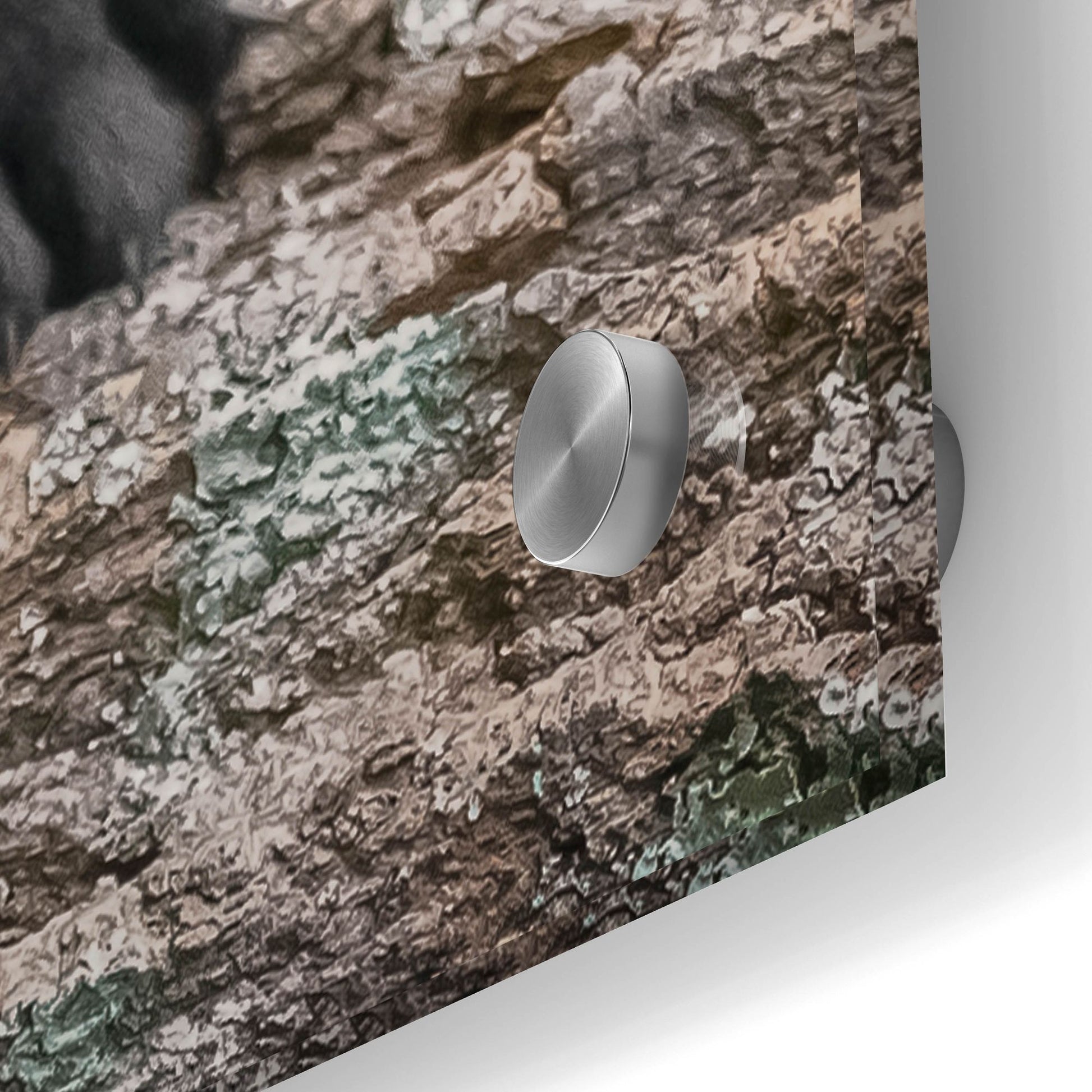 Epic Art 'Black Lab Pup 6' by Jonathan Ross, Acrylic Glass Wall Art,24x36