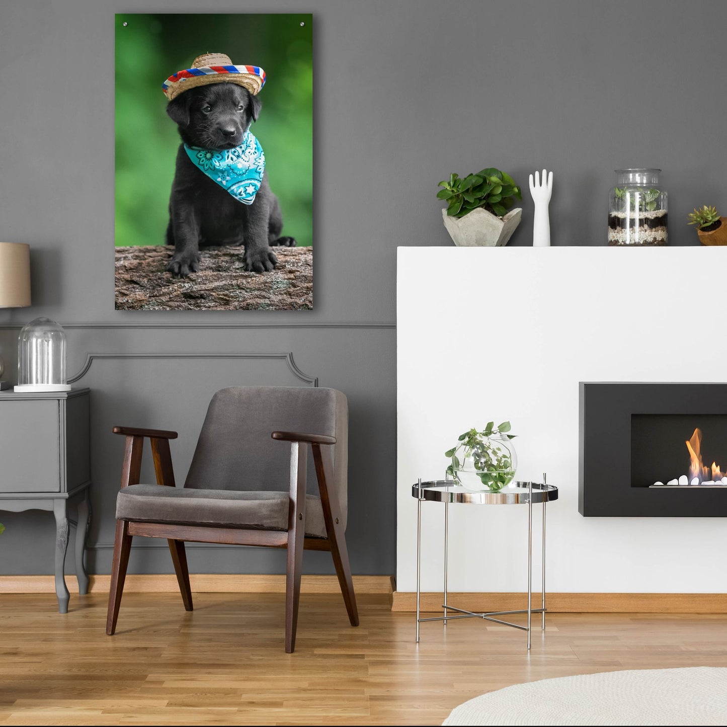 Epic Art 'Black Lab Pup 6' by Jonathan Ross, Acrylic Glass Wall Art,24x36